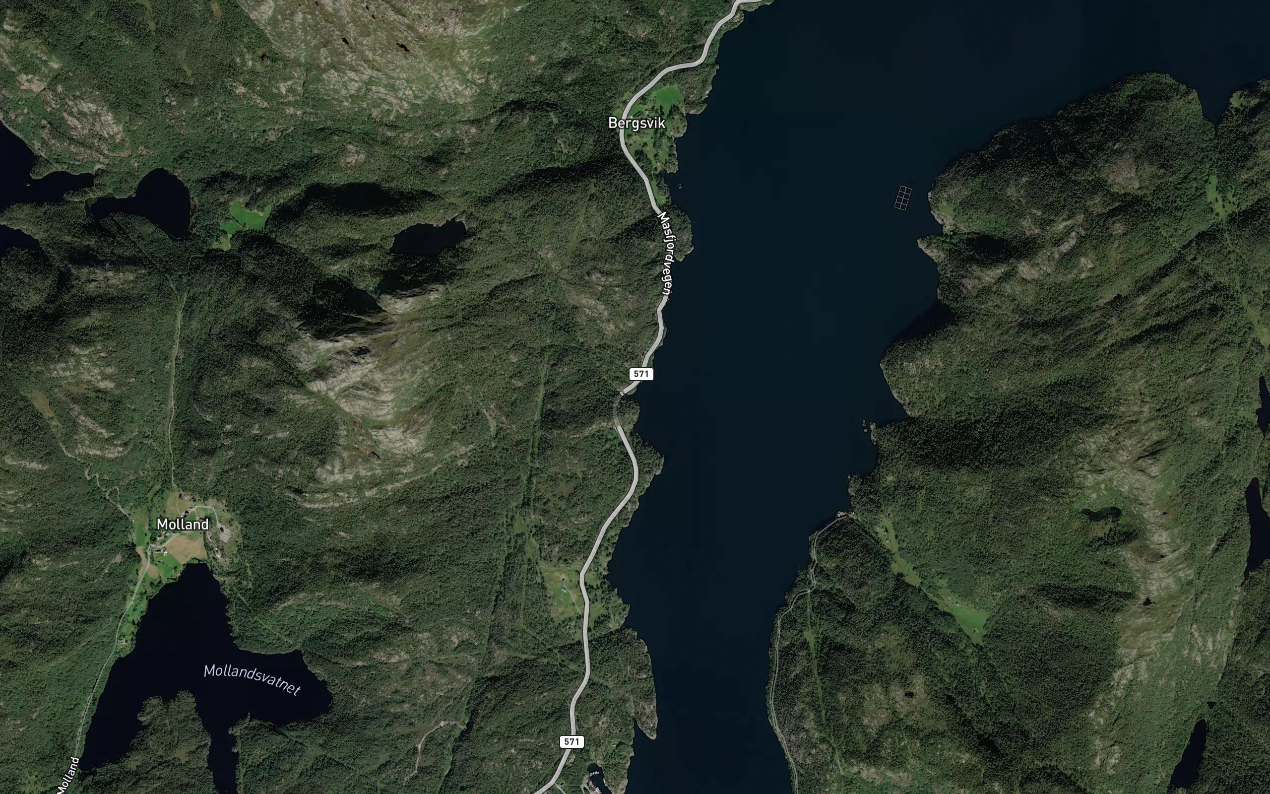 Jarbaervika