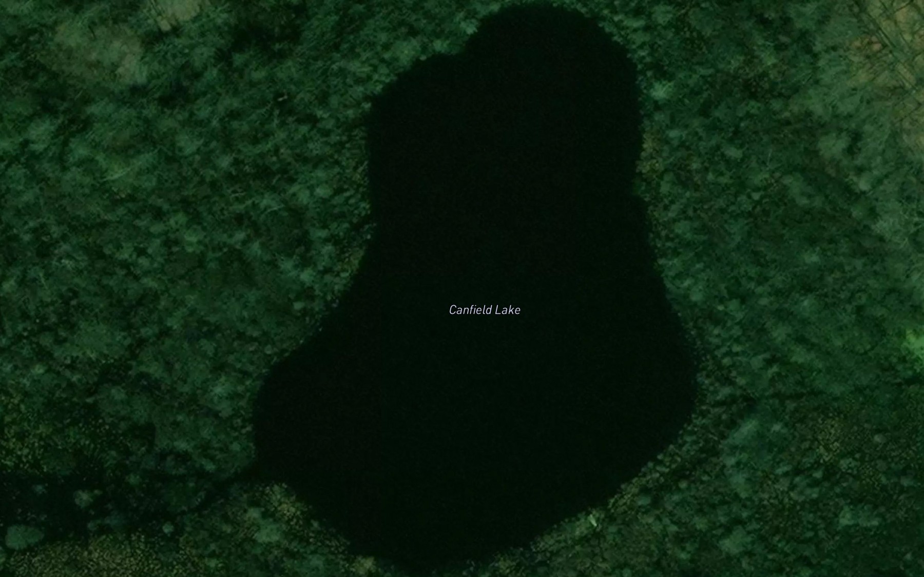Satellite map of the Canfield Lake