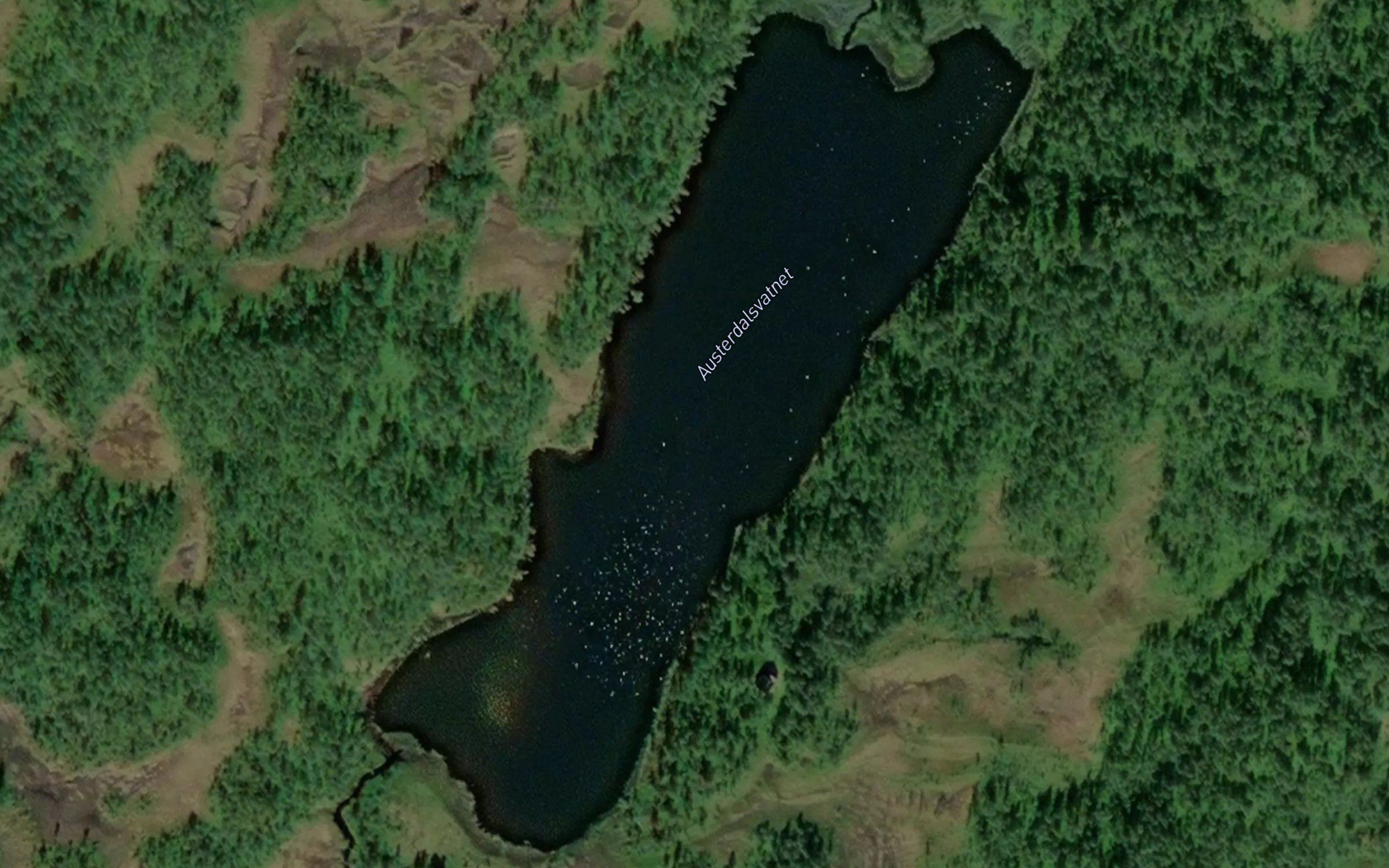 Austerdalsvatnet