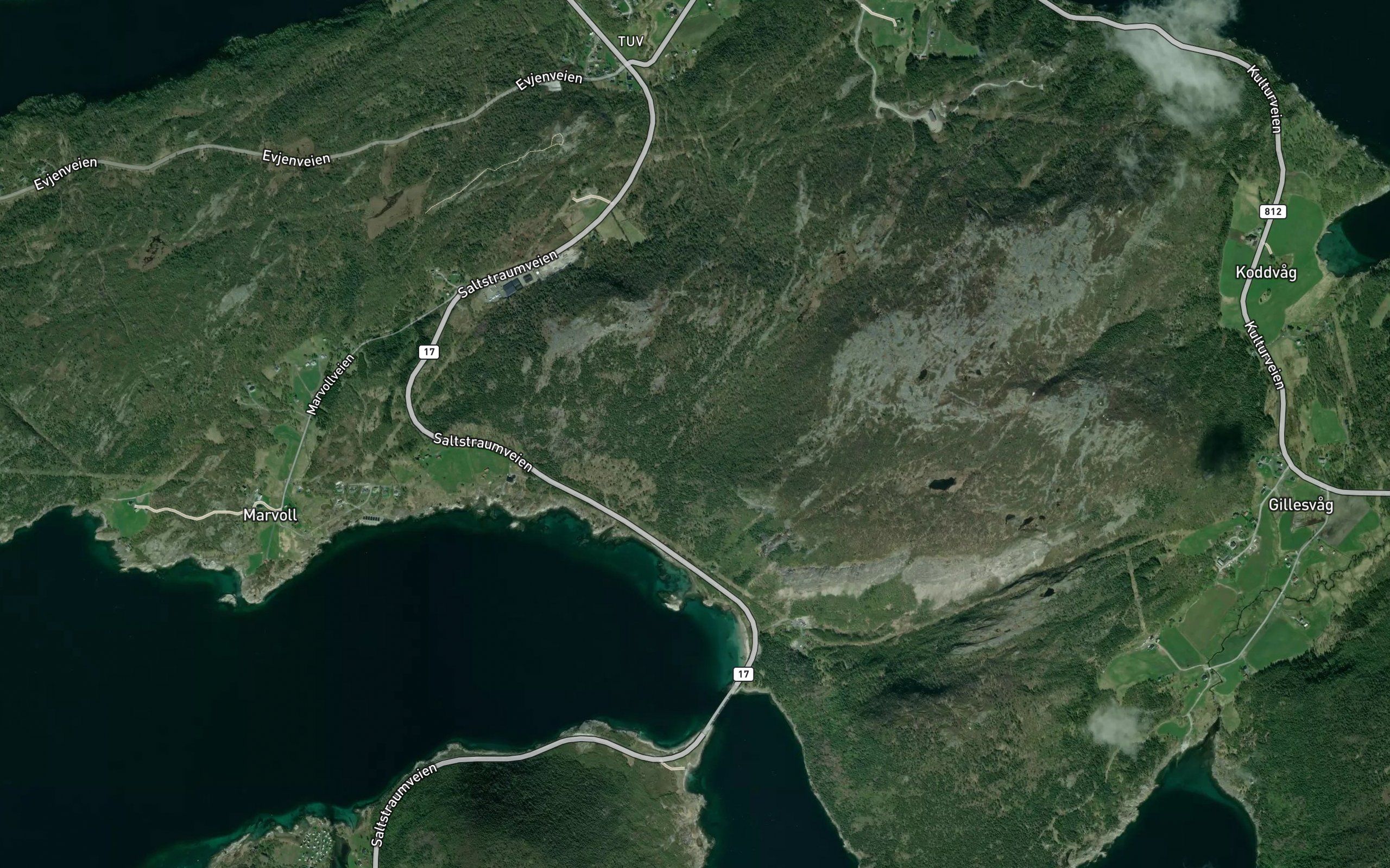 Trodalselva