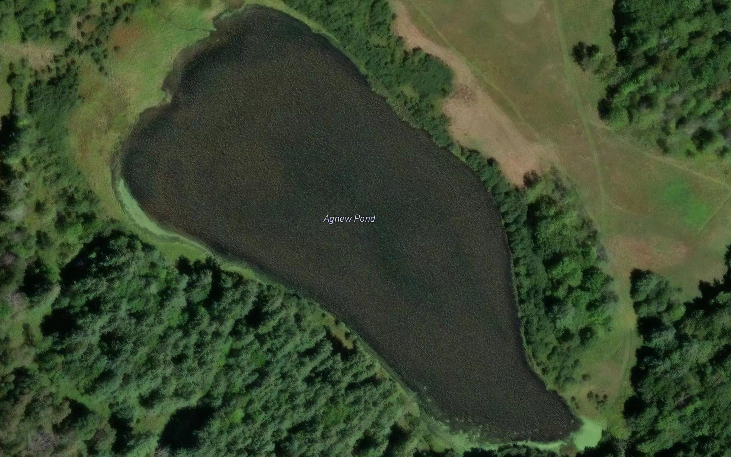 Agnew Pond