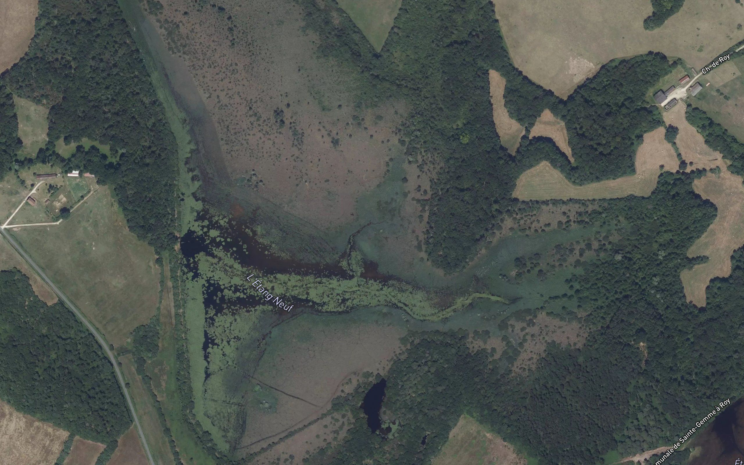 Etang Neuf
