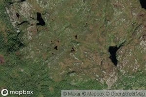 Lyhaugtjorna