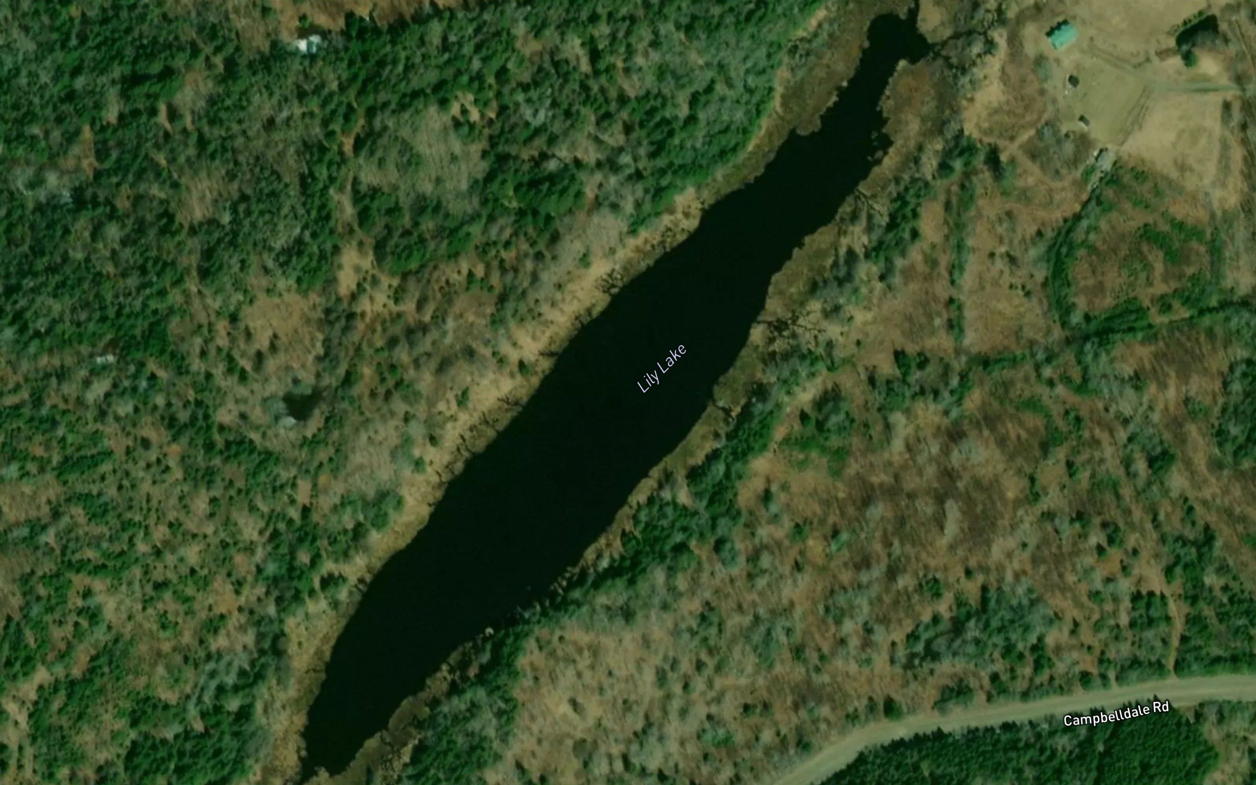Lily Lake