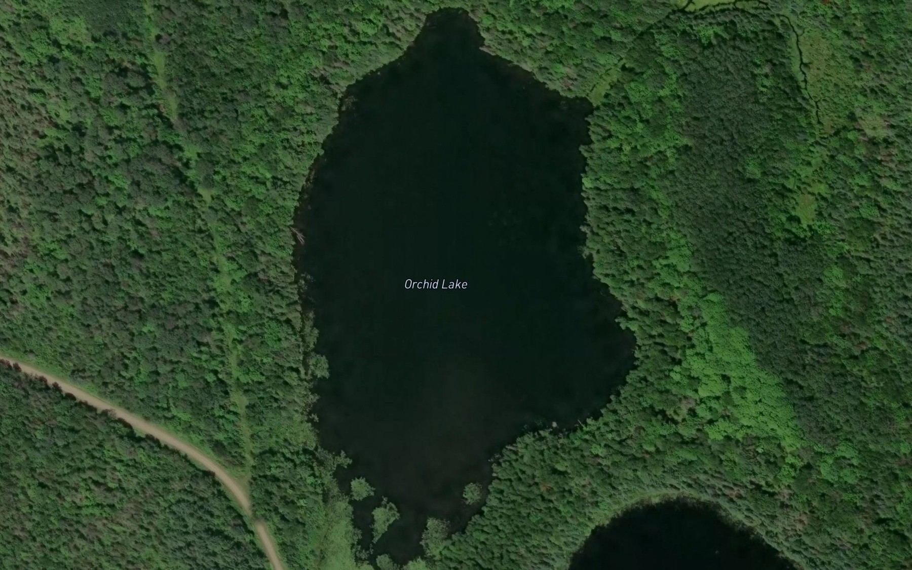 Satellite map of the Orchid Lake