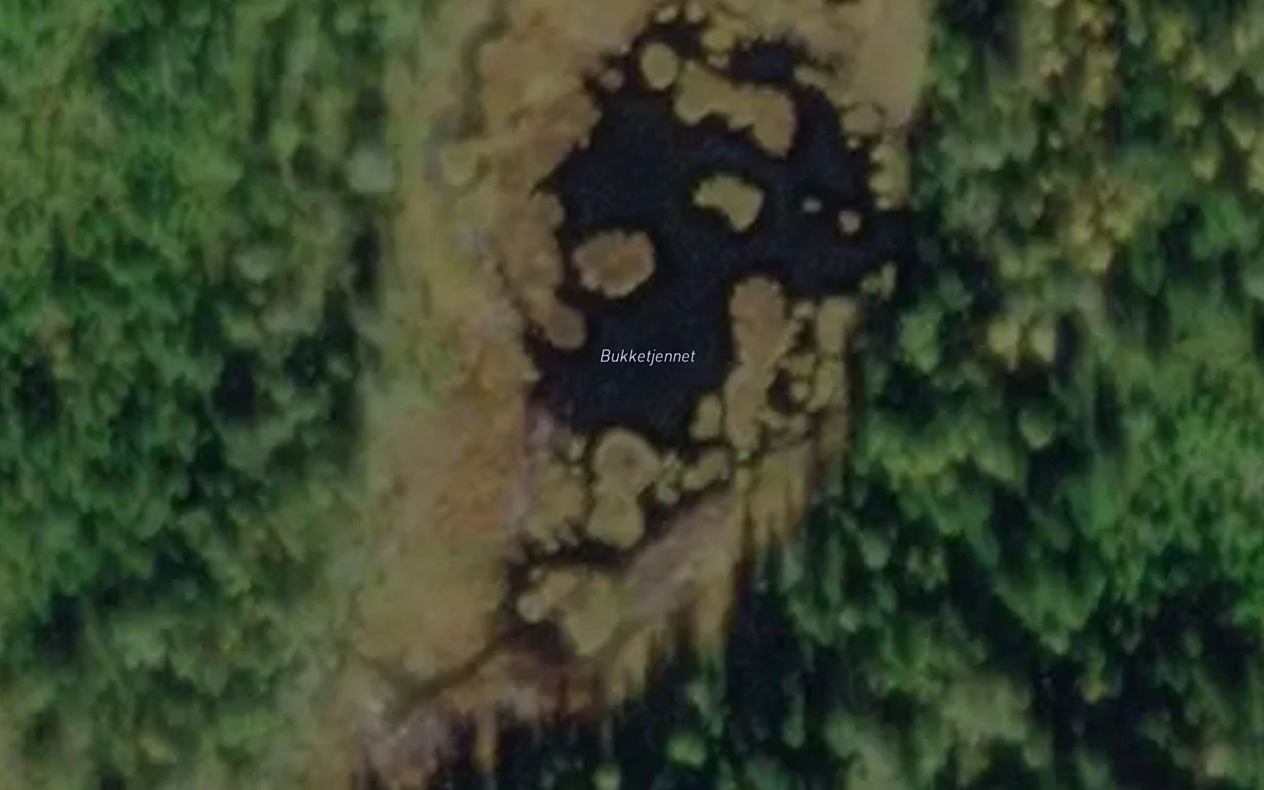 Bukketjennet