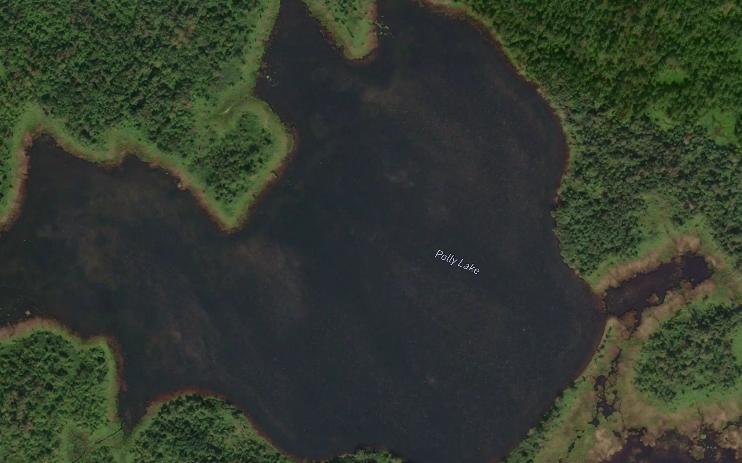 Polly Lake