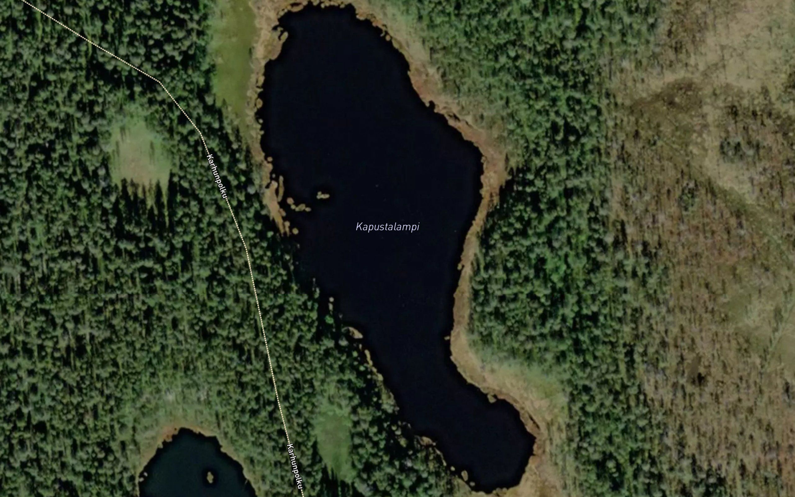 Kapustalampi