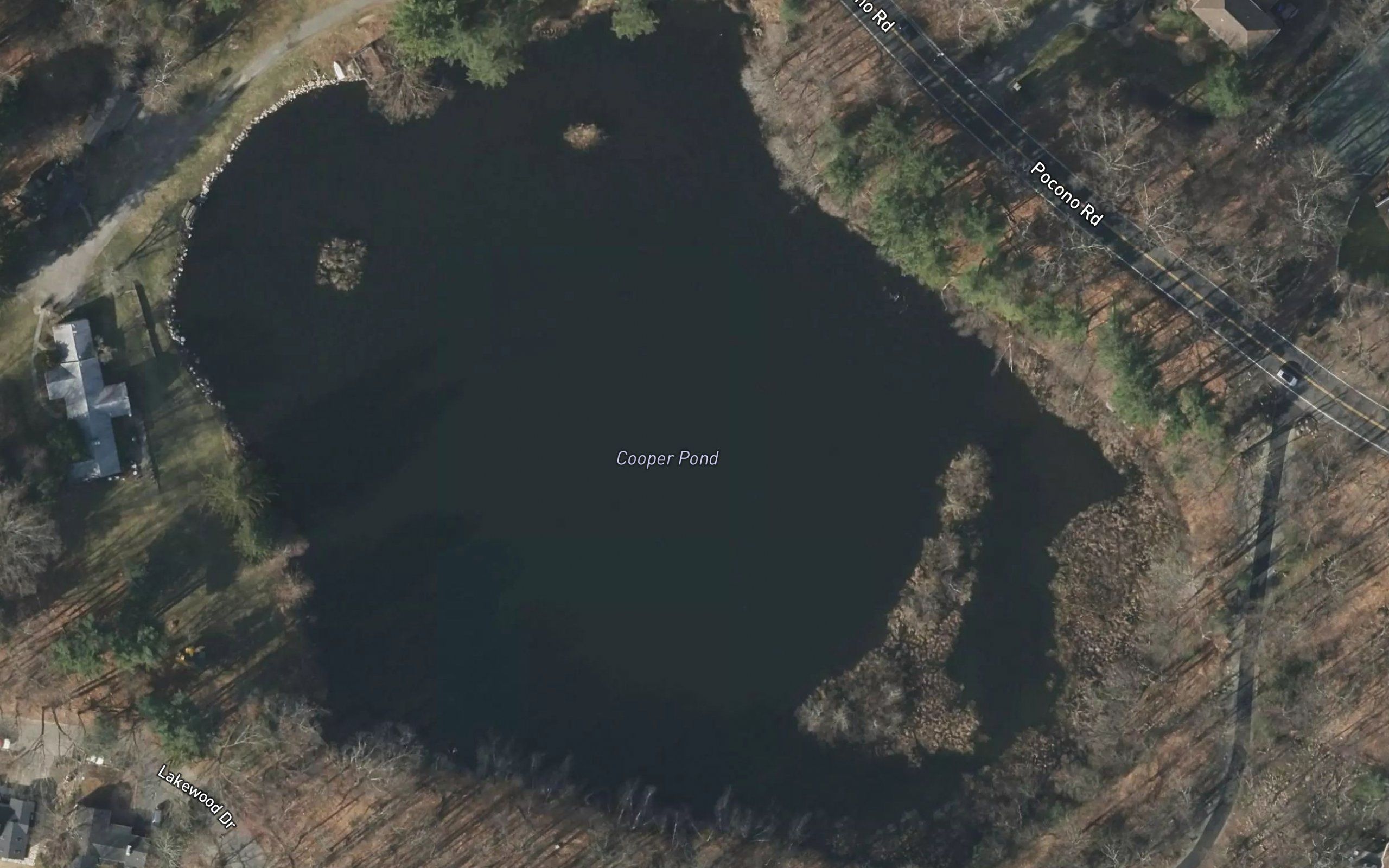 Cooper Lake