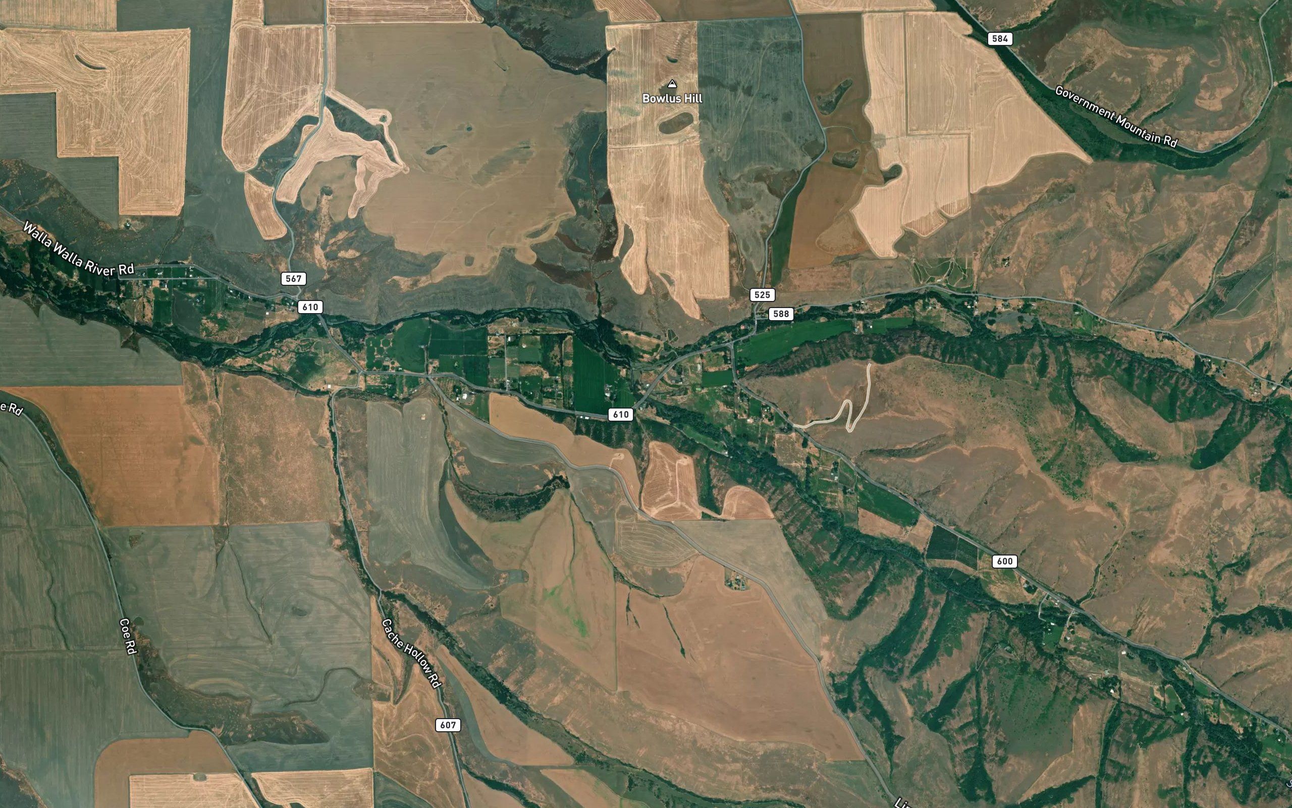 Dorothy Ditch