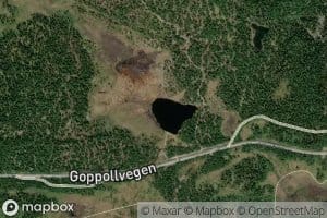 Turrhaugtjornet