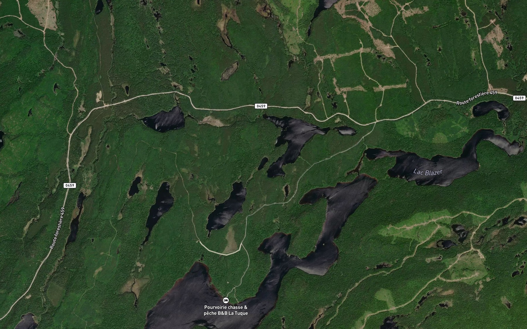 Satellite map of the Lac du Loup