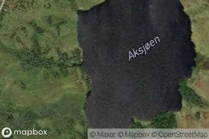 Aksjoen