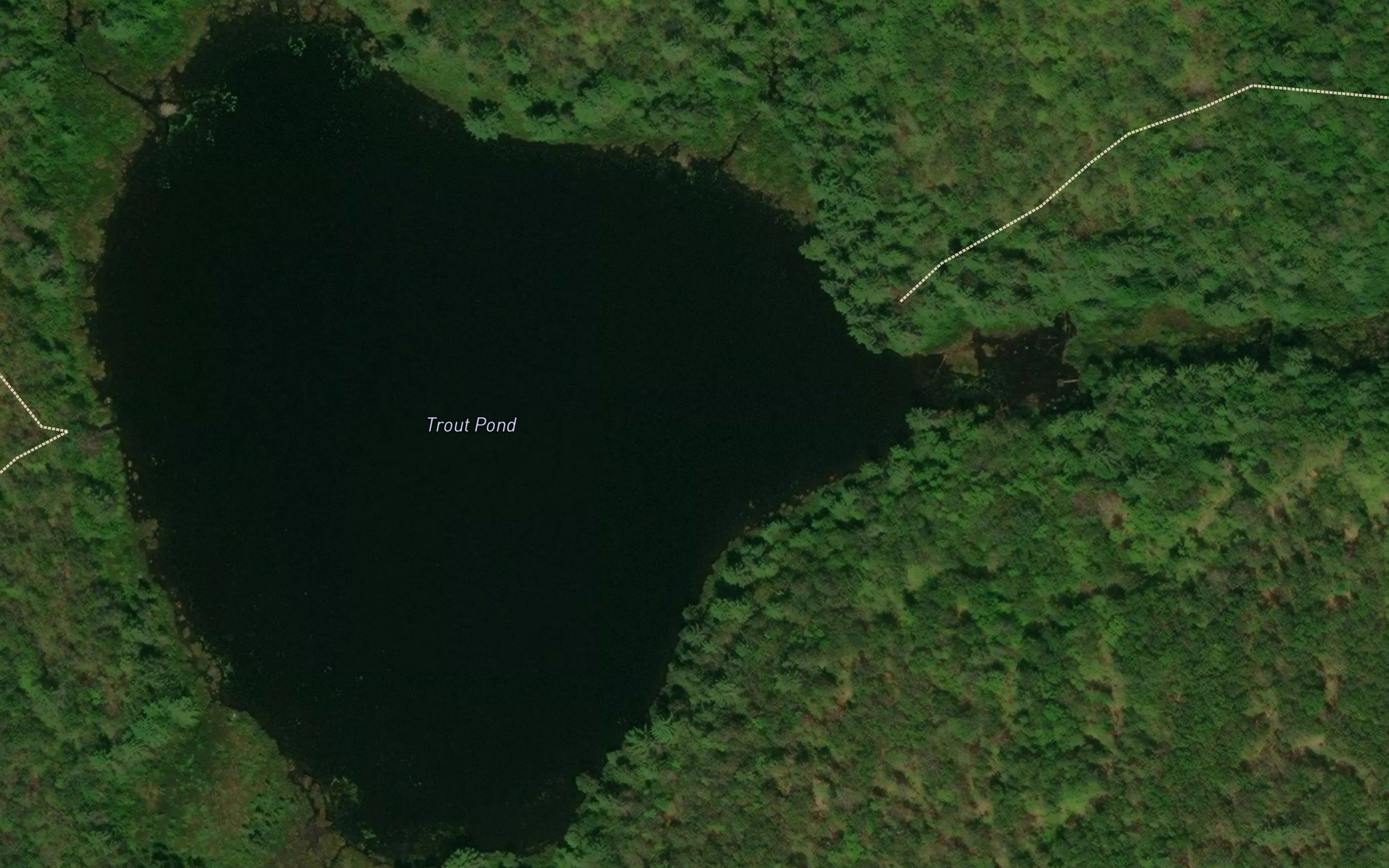 Trout Pond