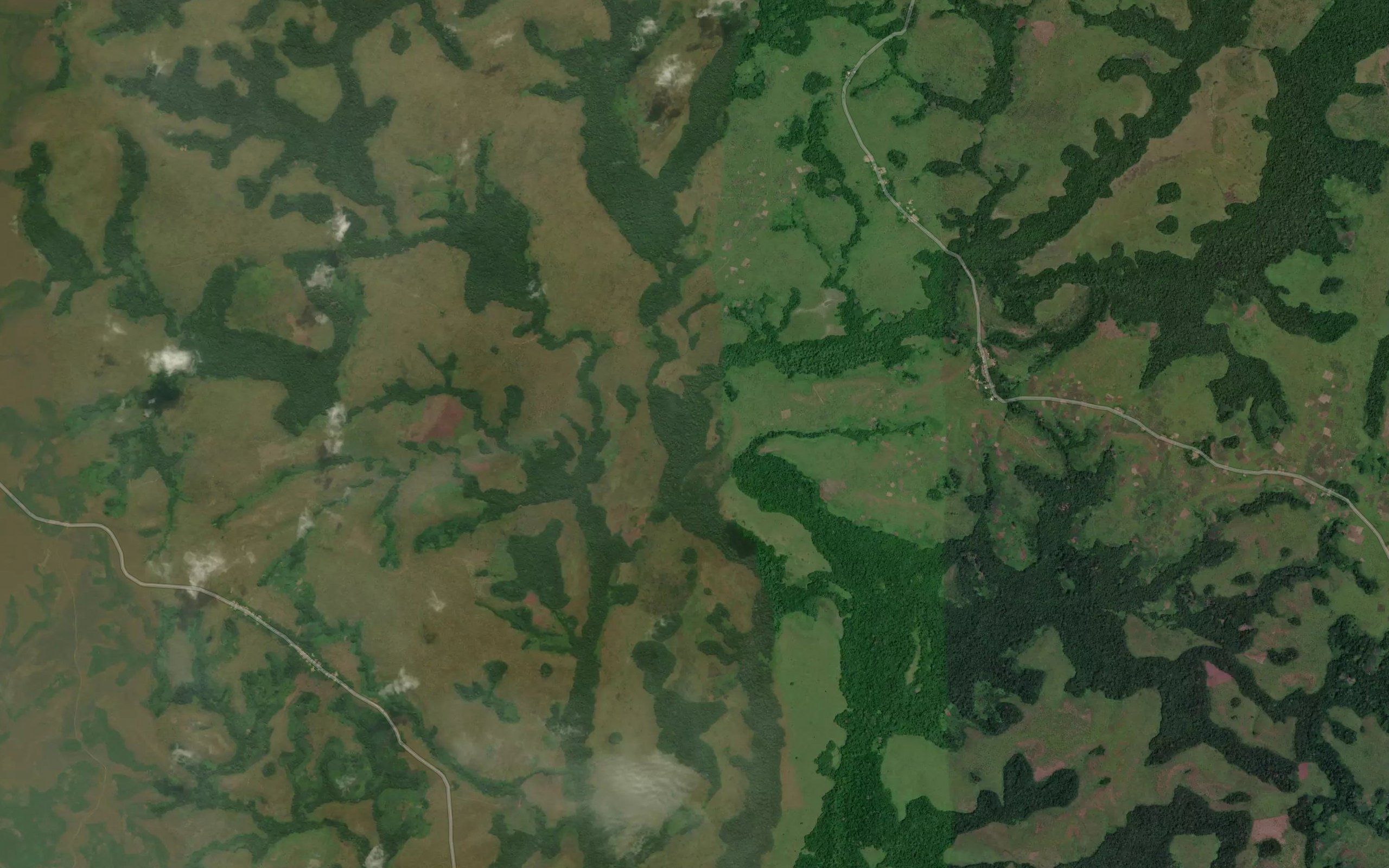 Kaniangi