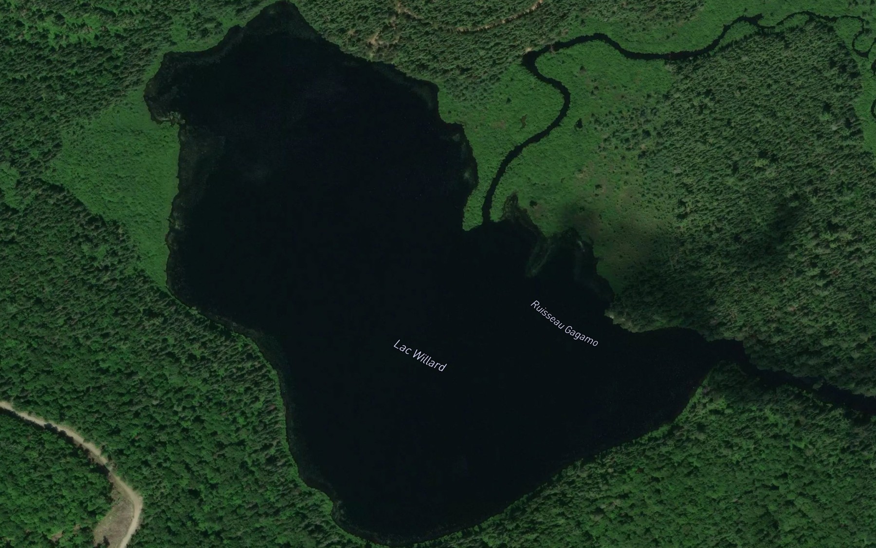 Satellite map of the Lac Willard