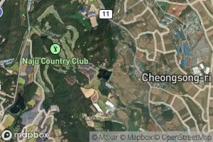 Cheongnyongje