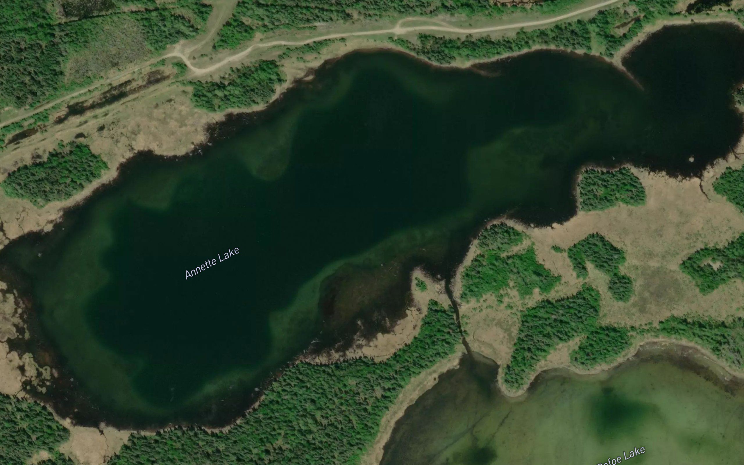 Annette Lake