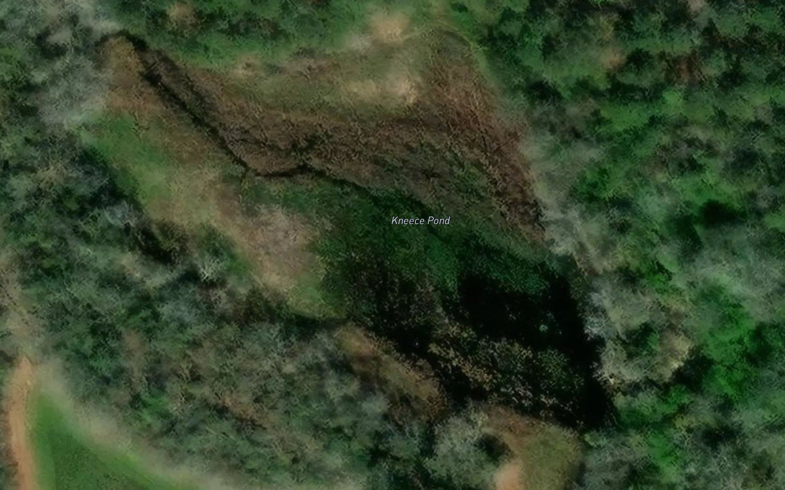 Kneece Pond