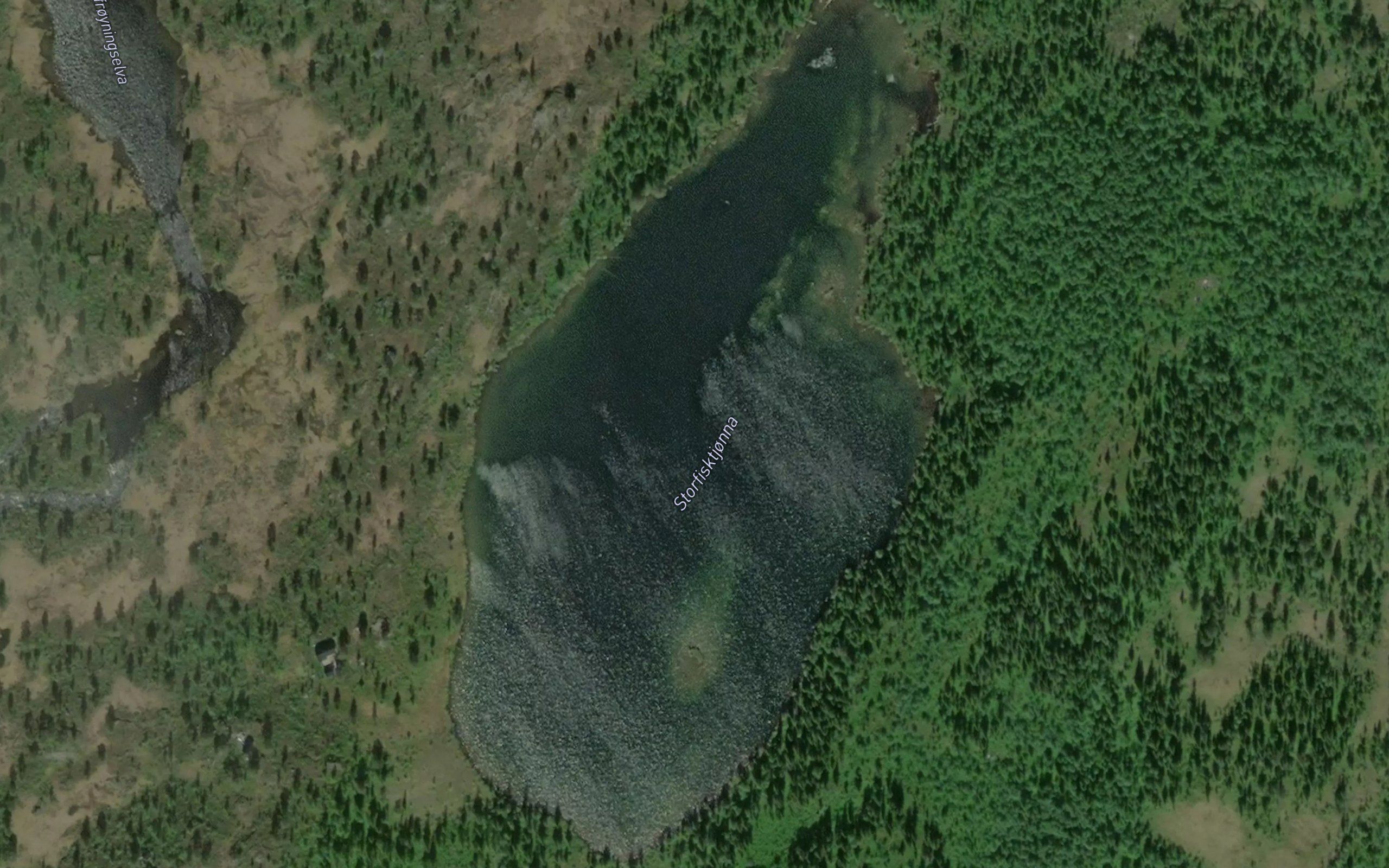 Storfisktjorna