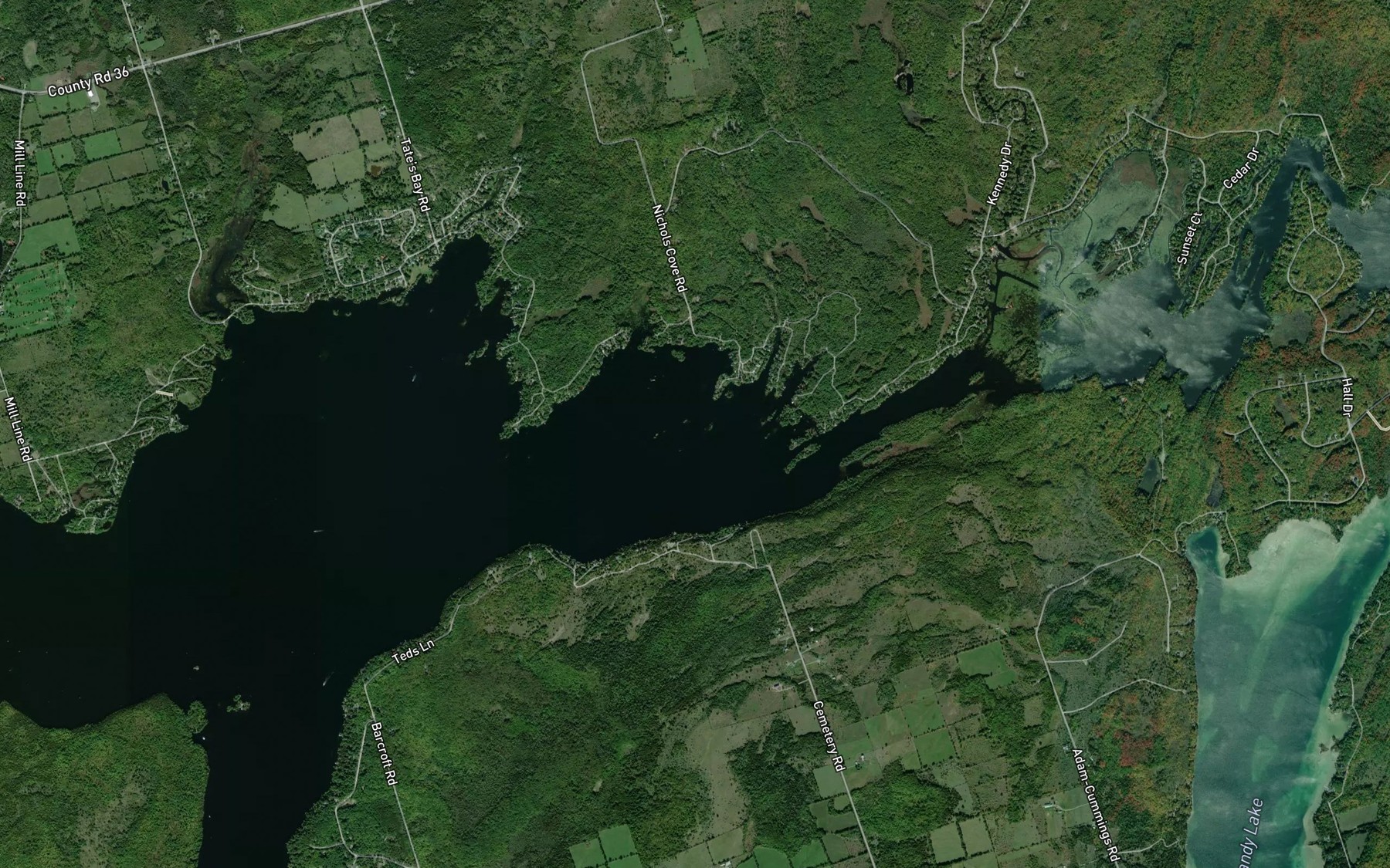 Satellite map of the Bicelow Bay