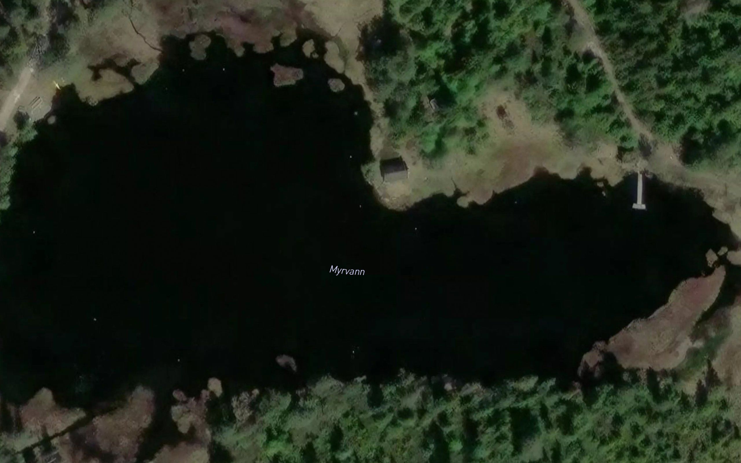 Myrevann