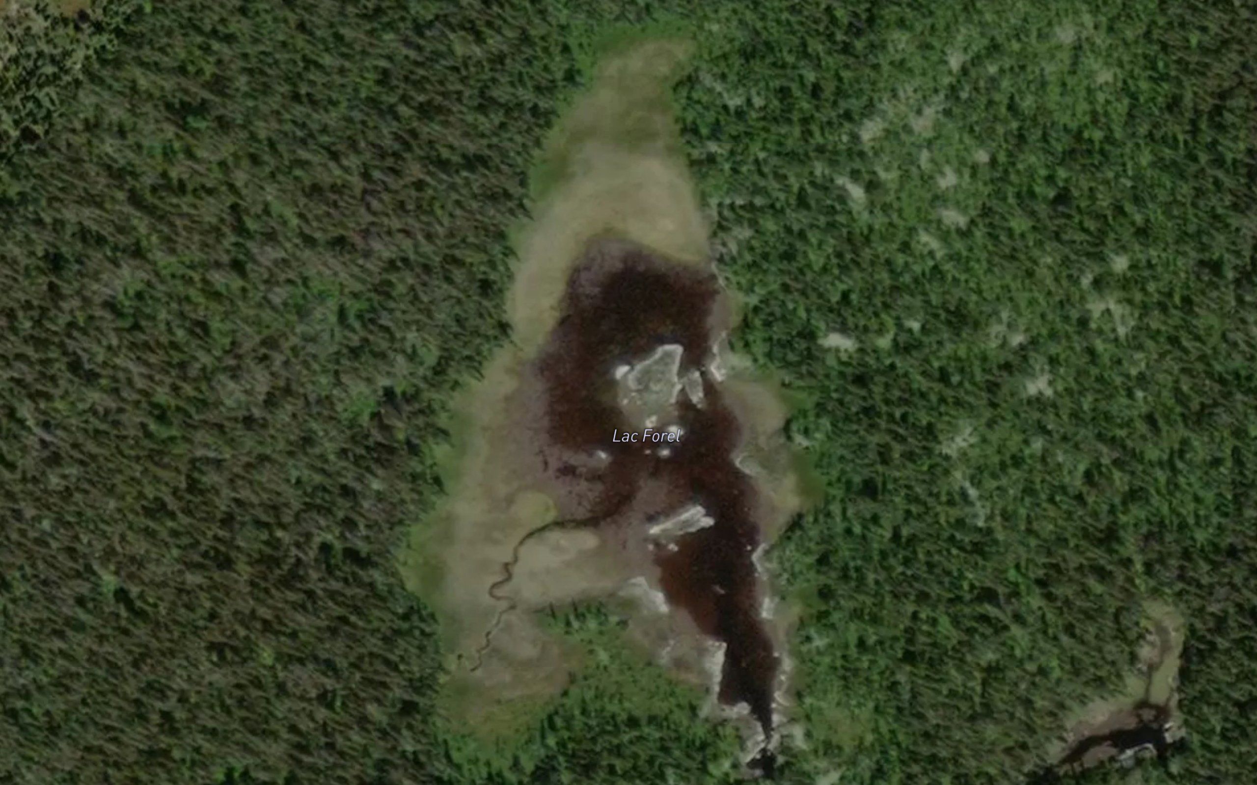 Lac Forel