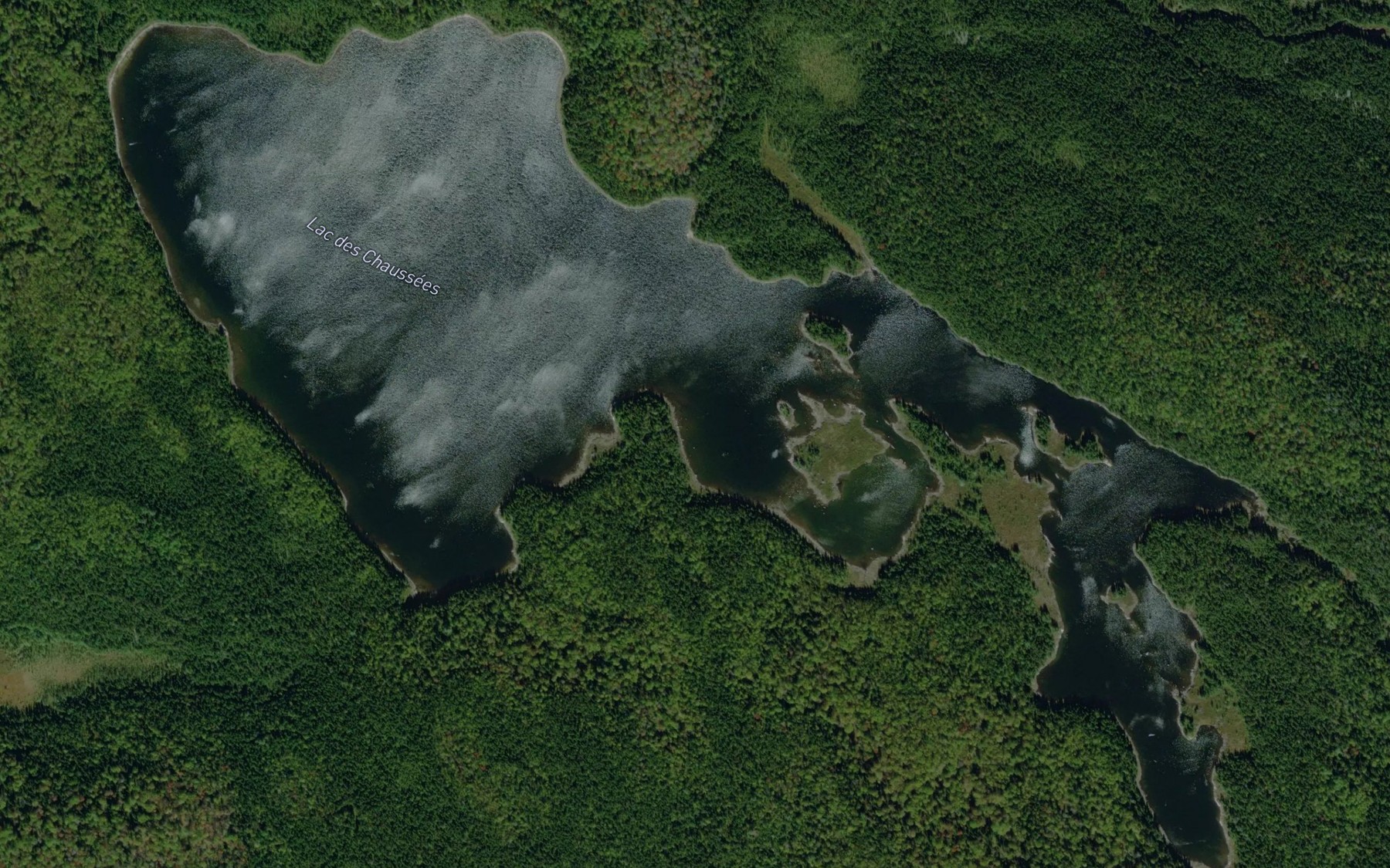 Satellite map of the Lac des Chaussees