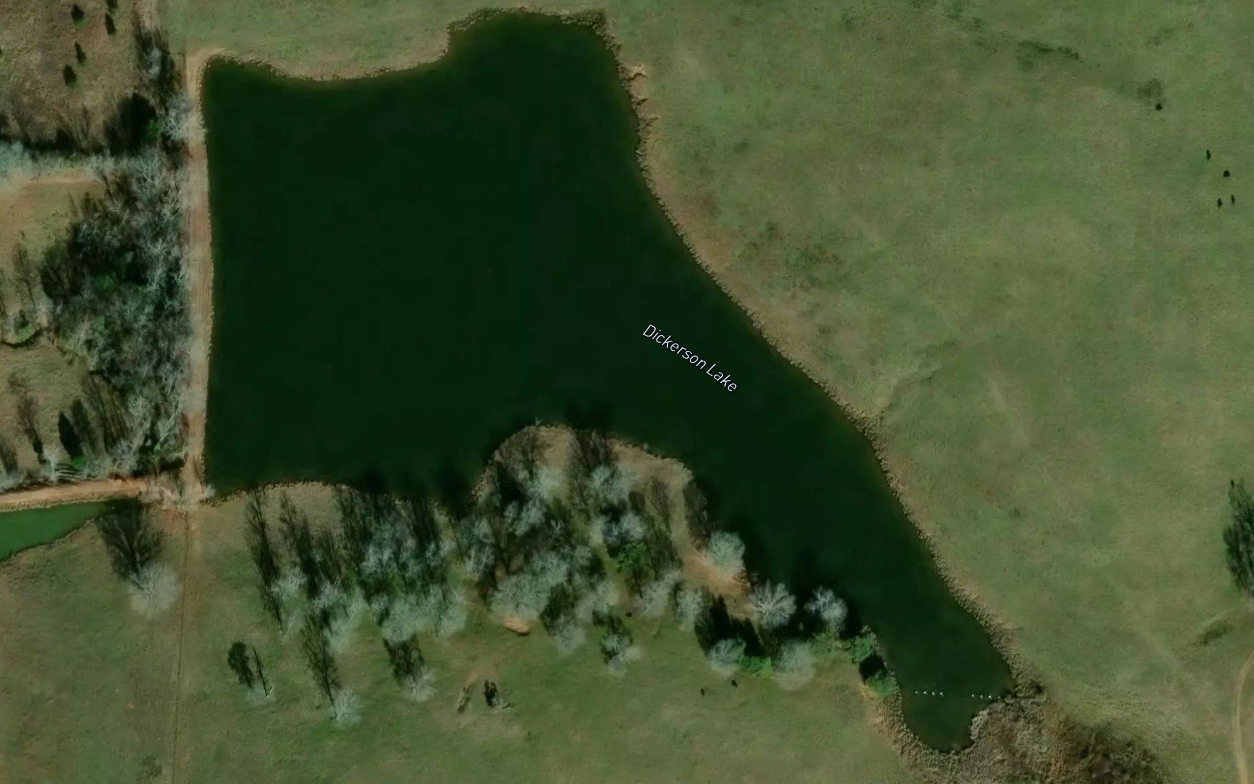 Dickerson Lake