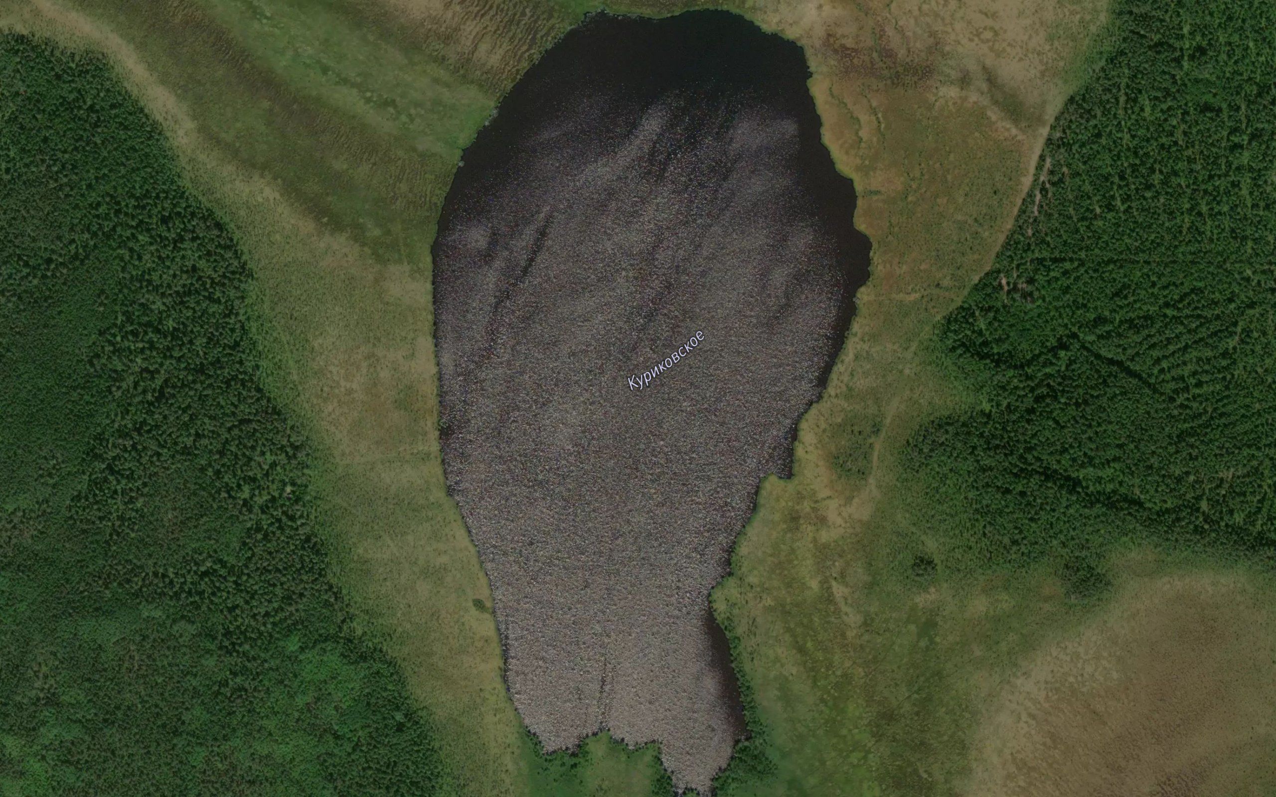 Ozero Kurikovskoye