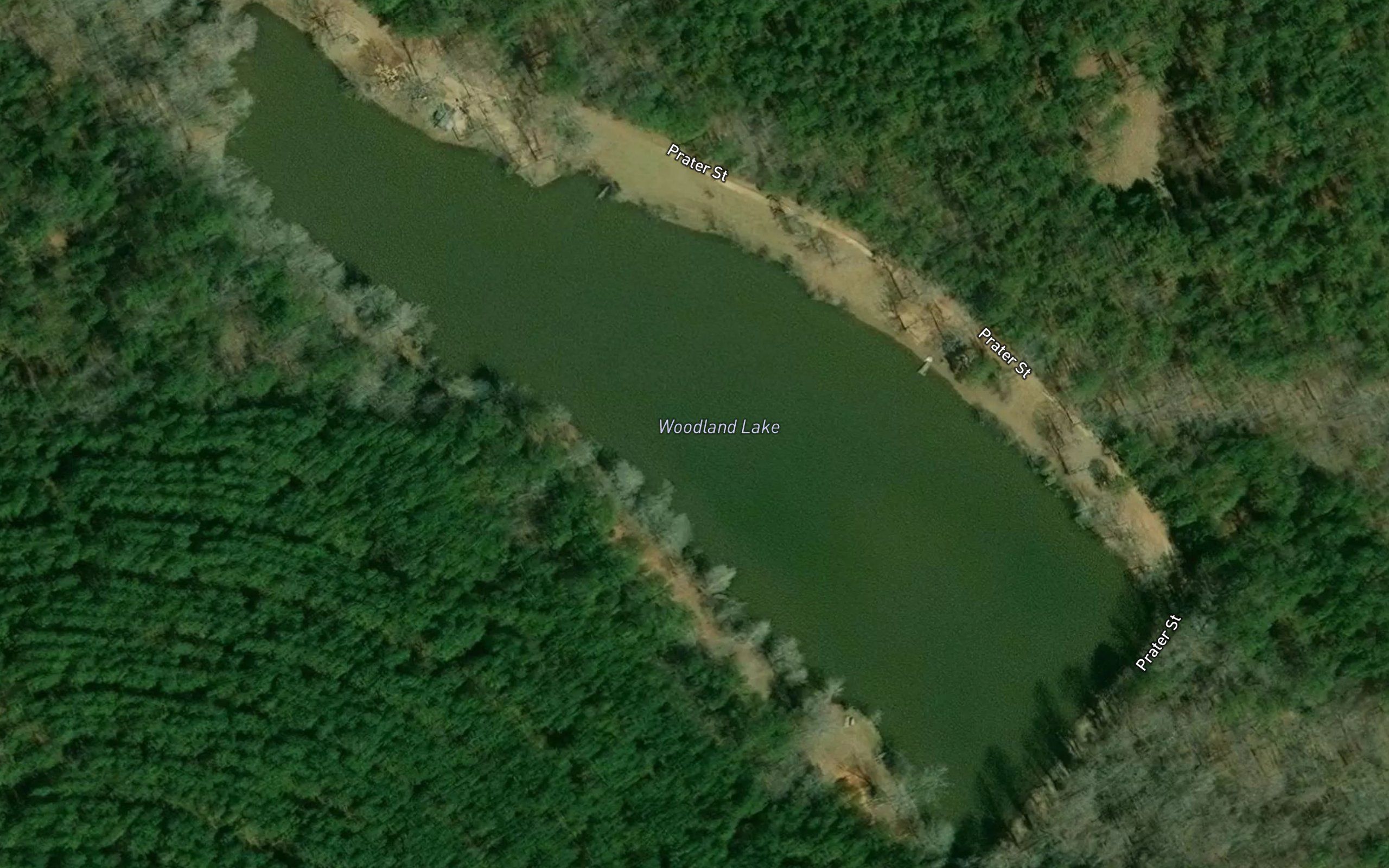 Woodland Lake