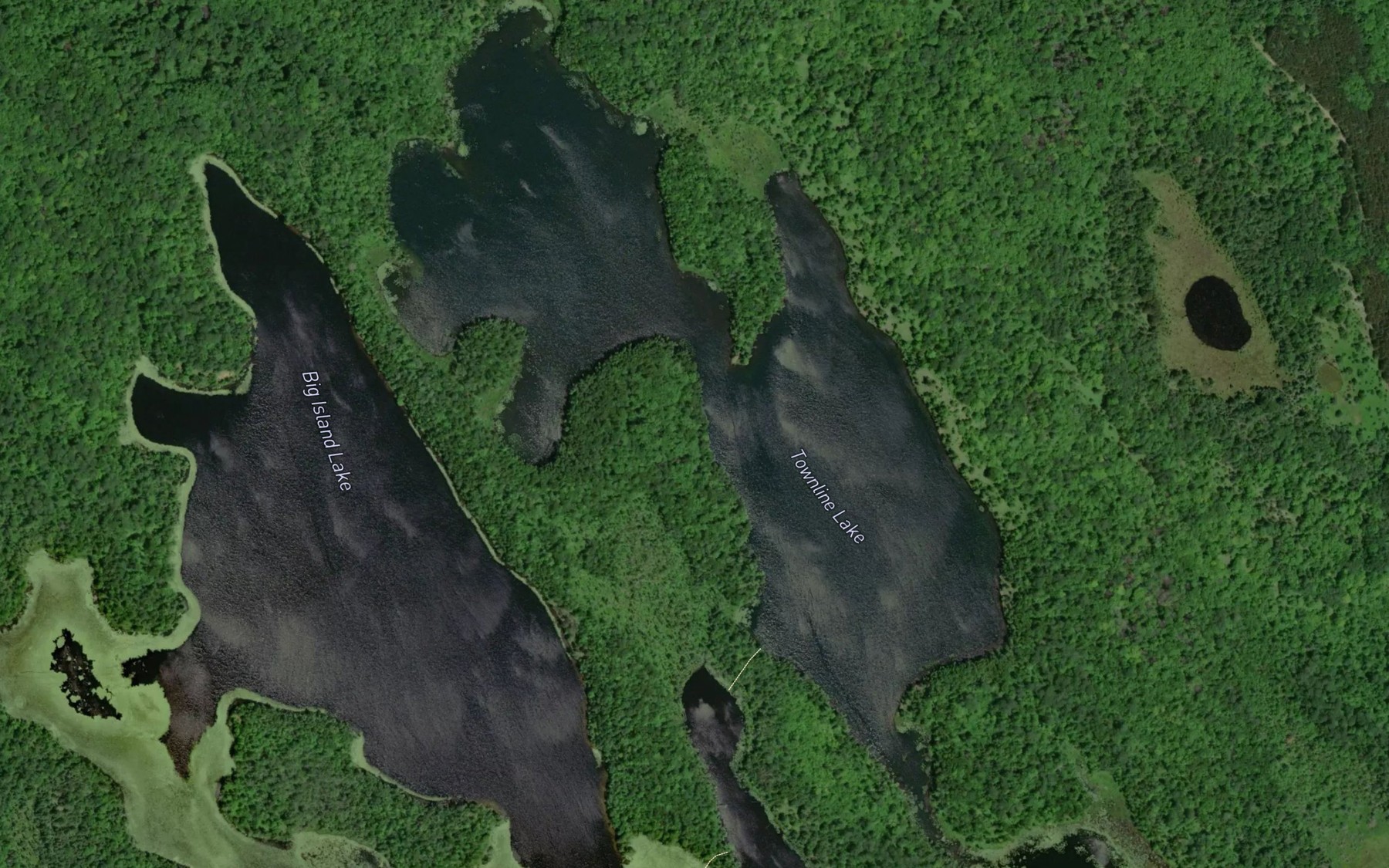 Satellite map of the Townline Lake