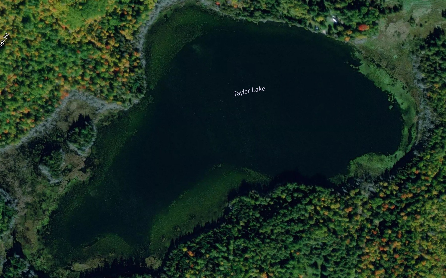 Satellite map of the Taylor Lake