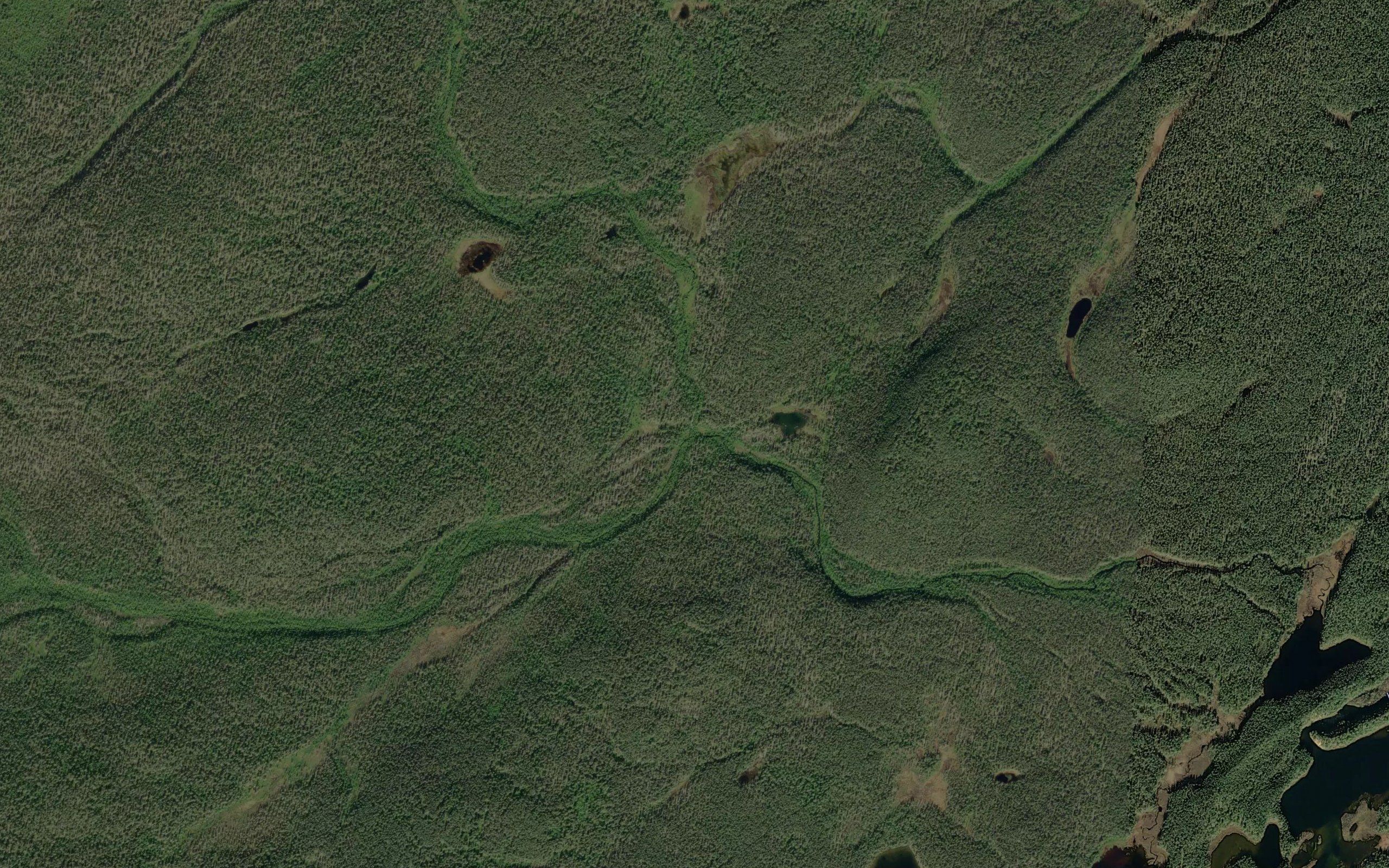 Paltsavaaranoja