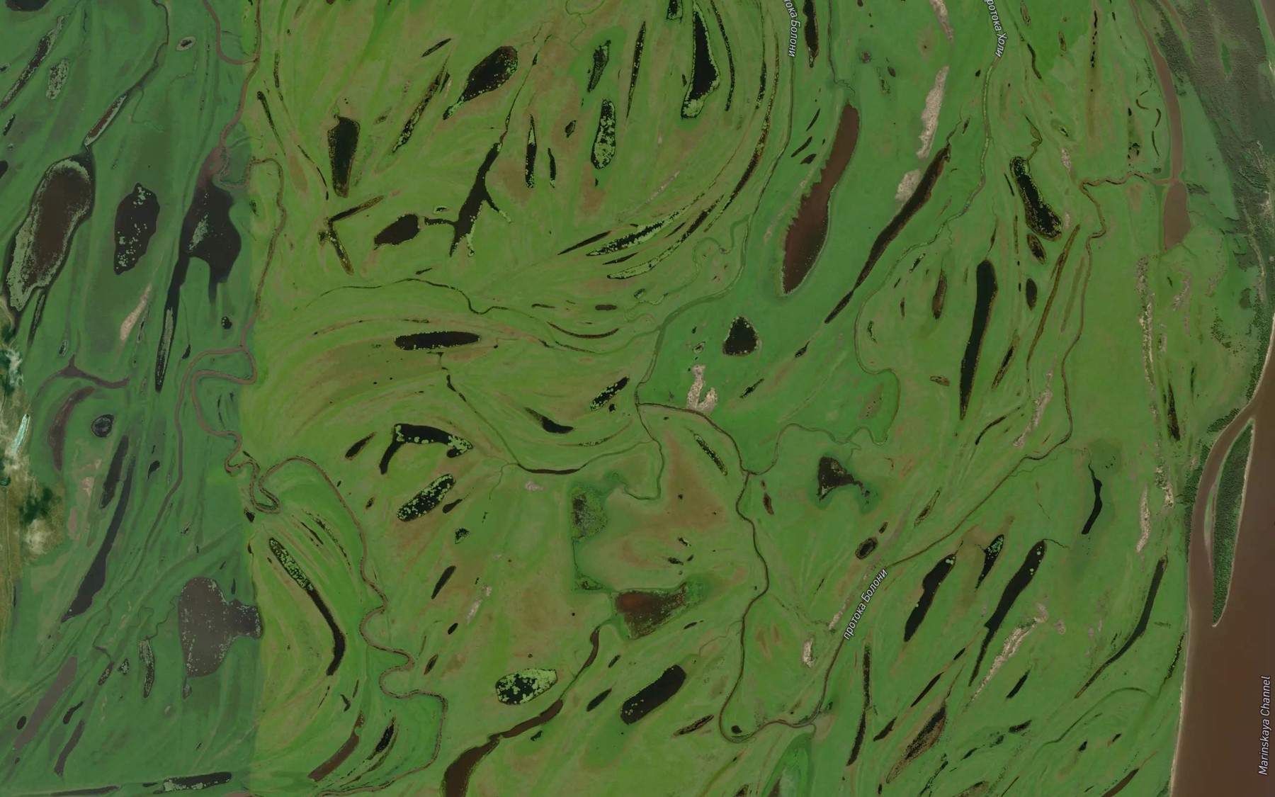 Satellite map of the Protoka Puyni
