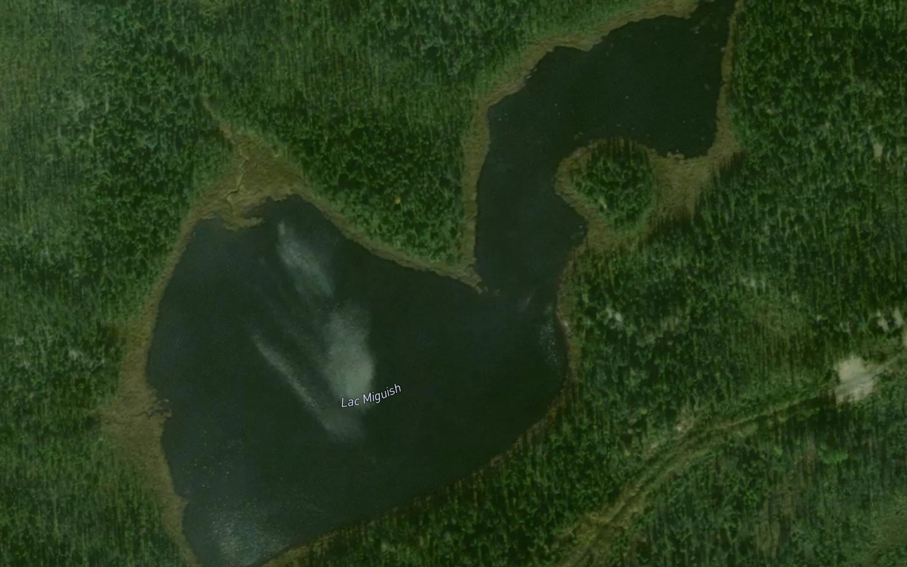 Satellite map of the Lac Miguish