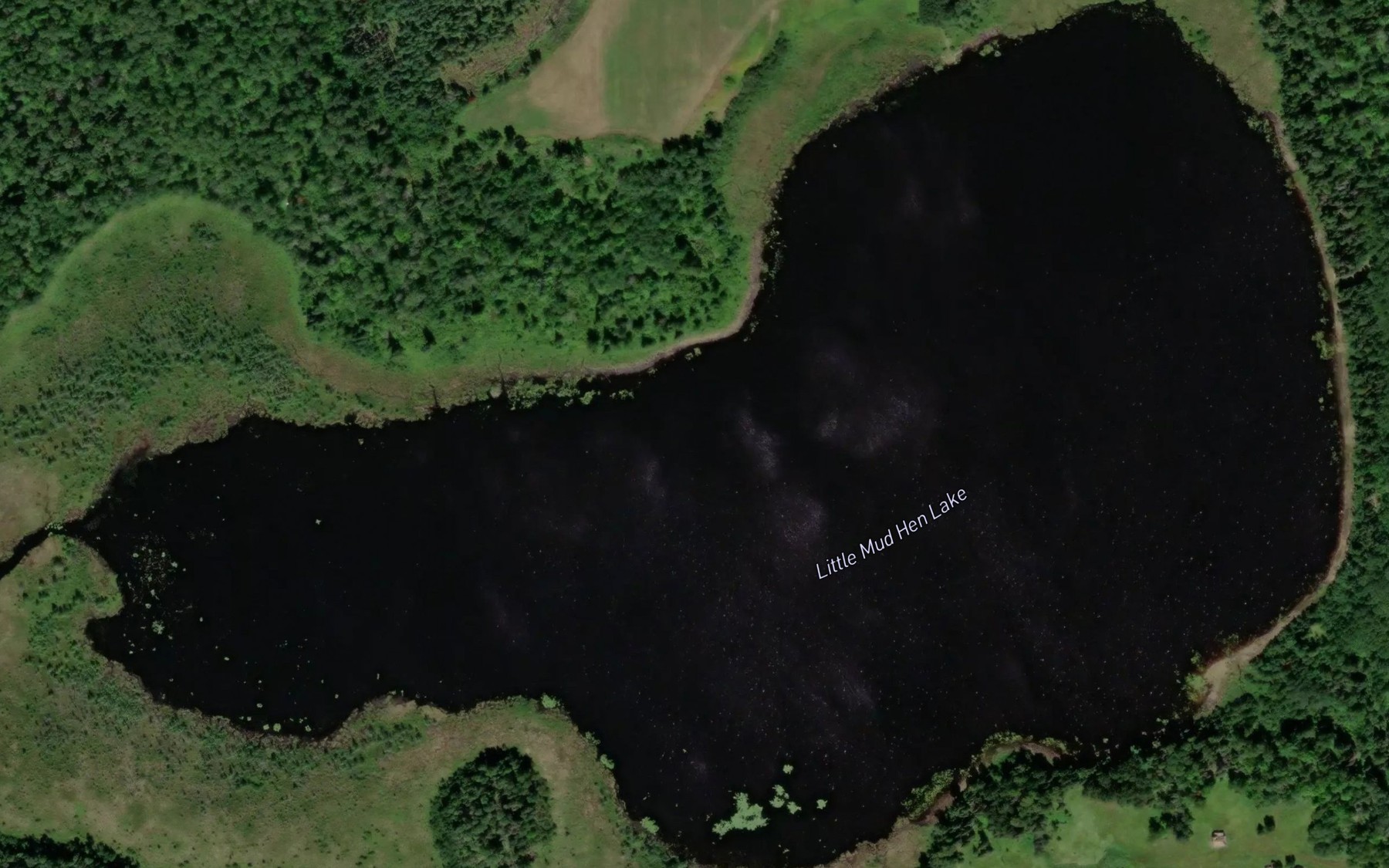 Satellite map of the Little Mud Hen Lake