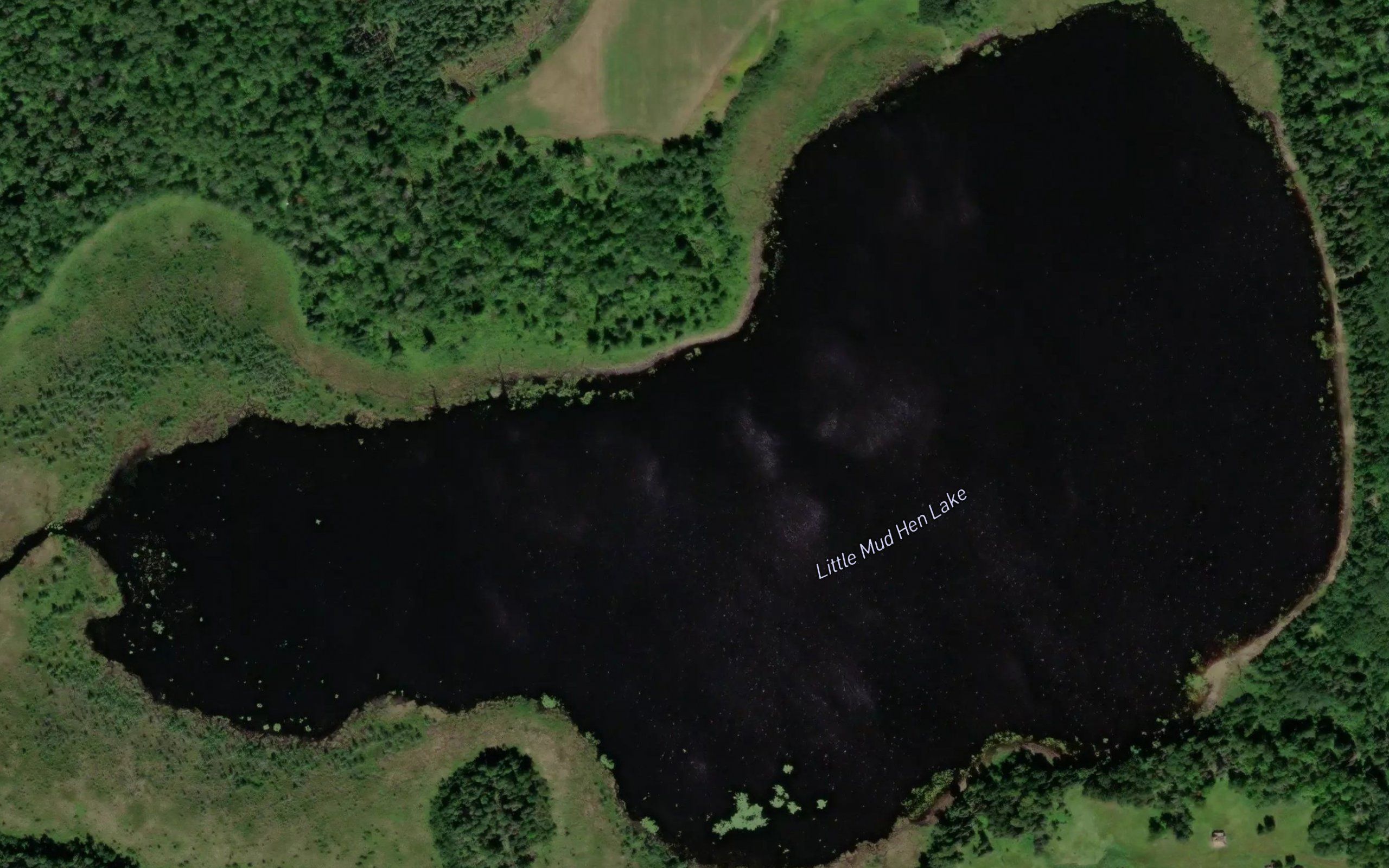 Little Mud Hen Lake