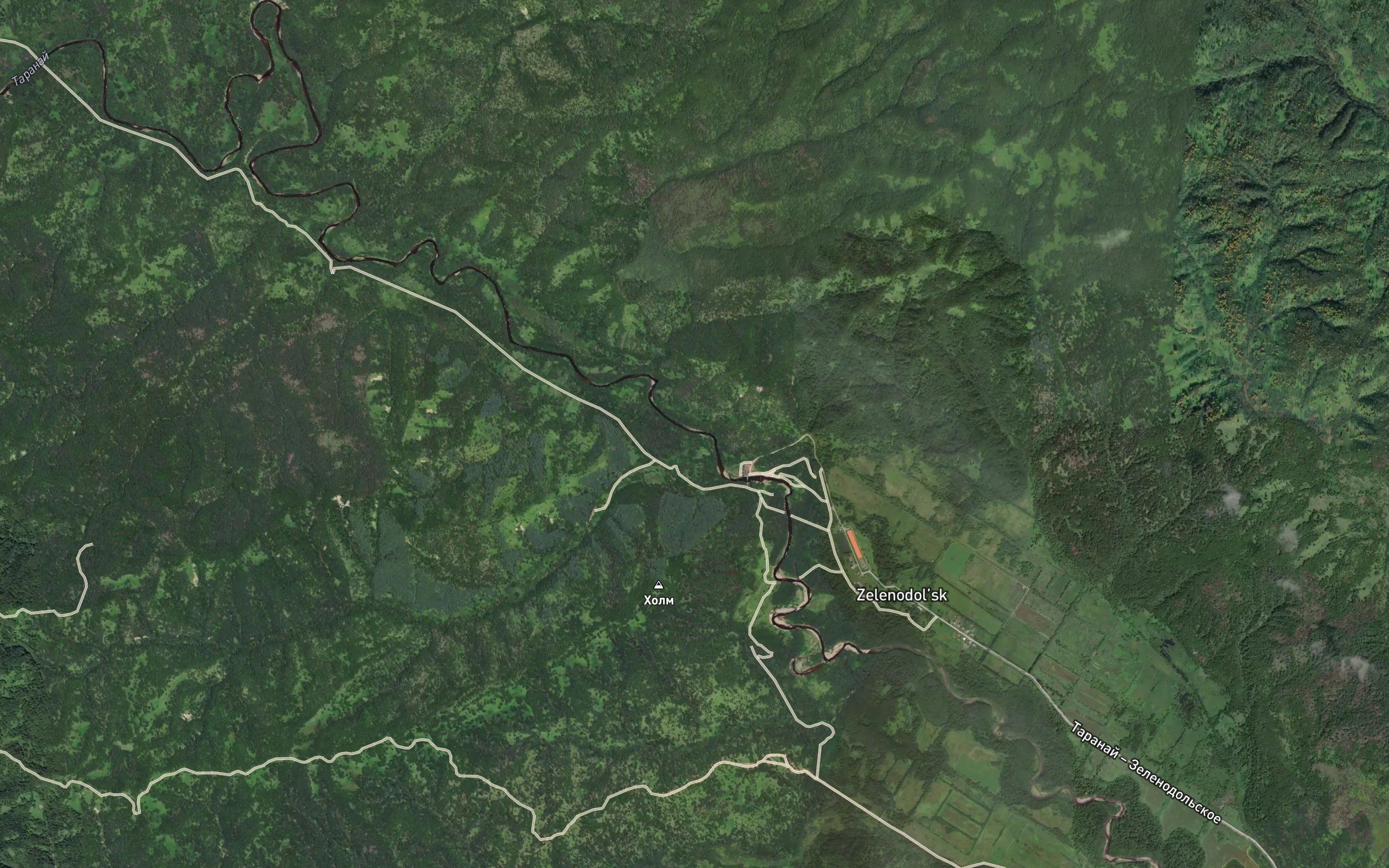 Golaya