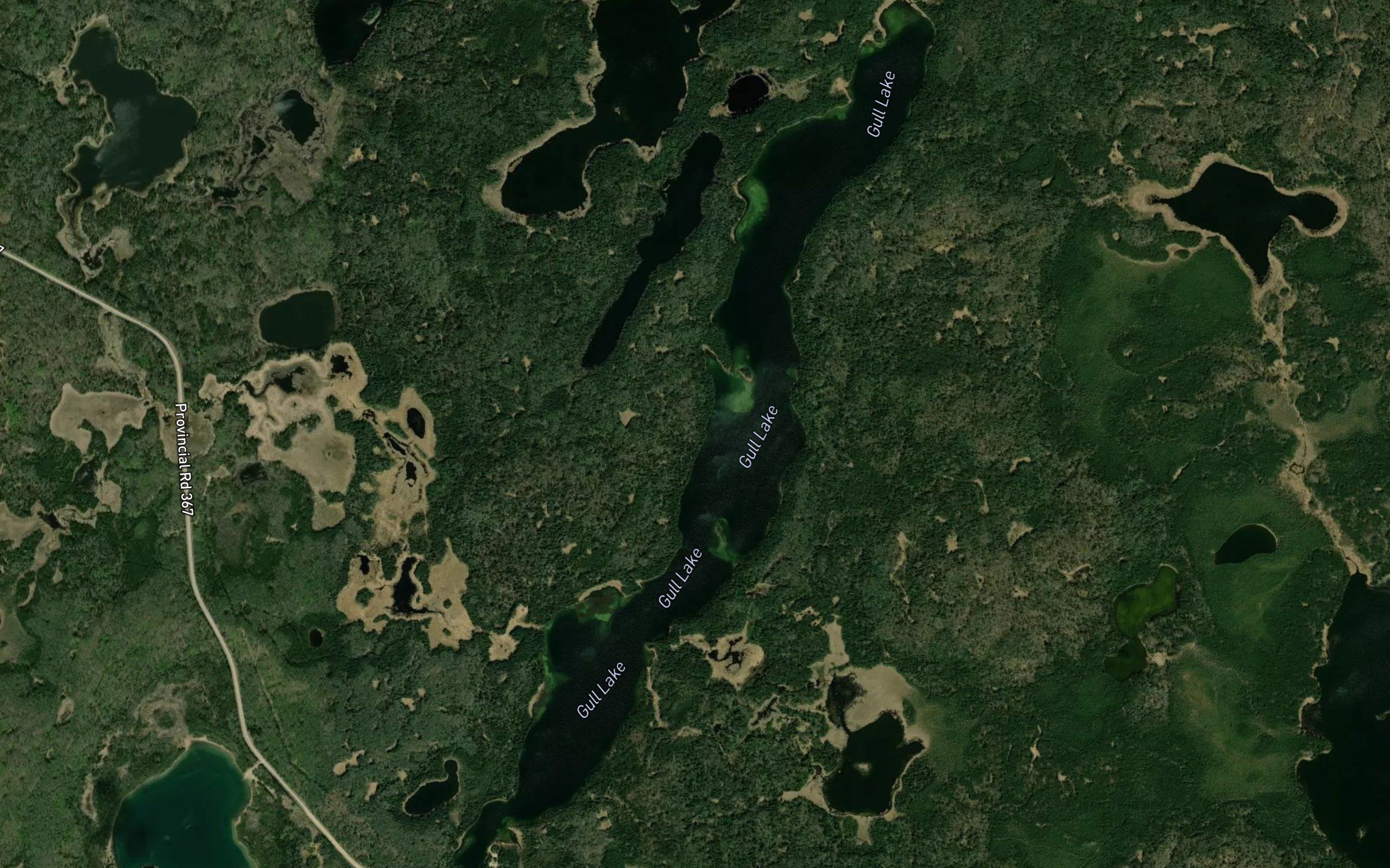 Gull Lake