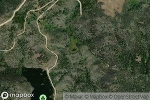 Forest Lake