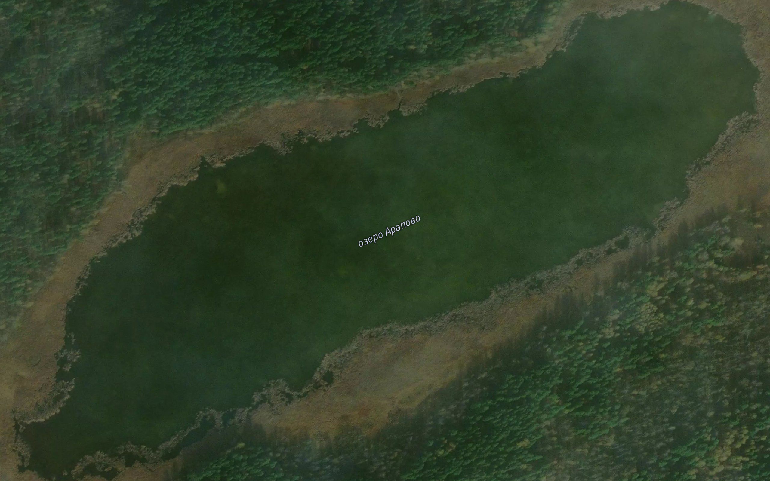 Ozero Arapovo