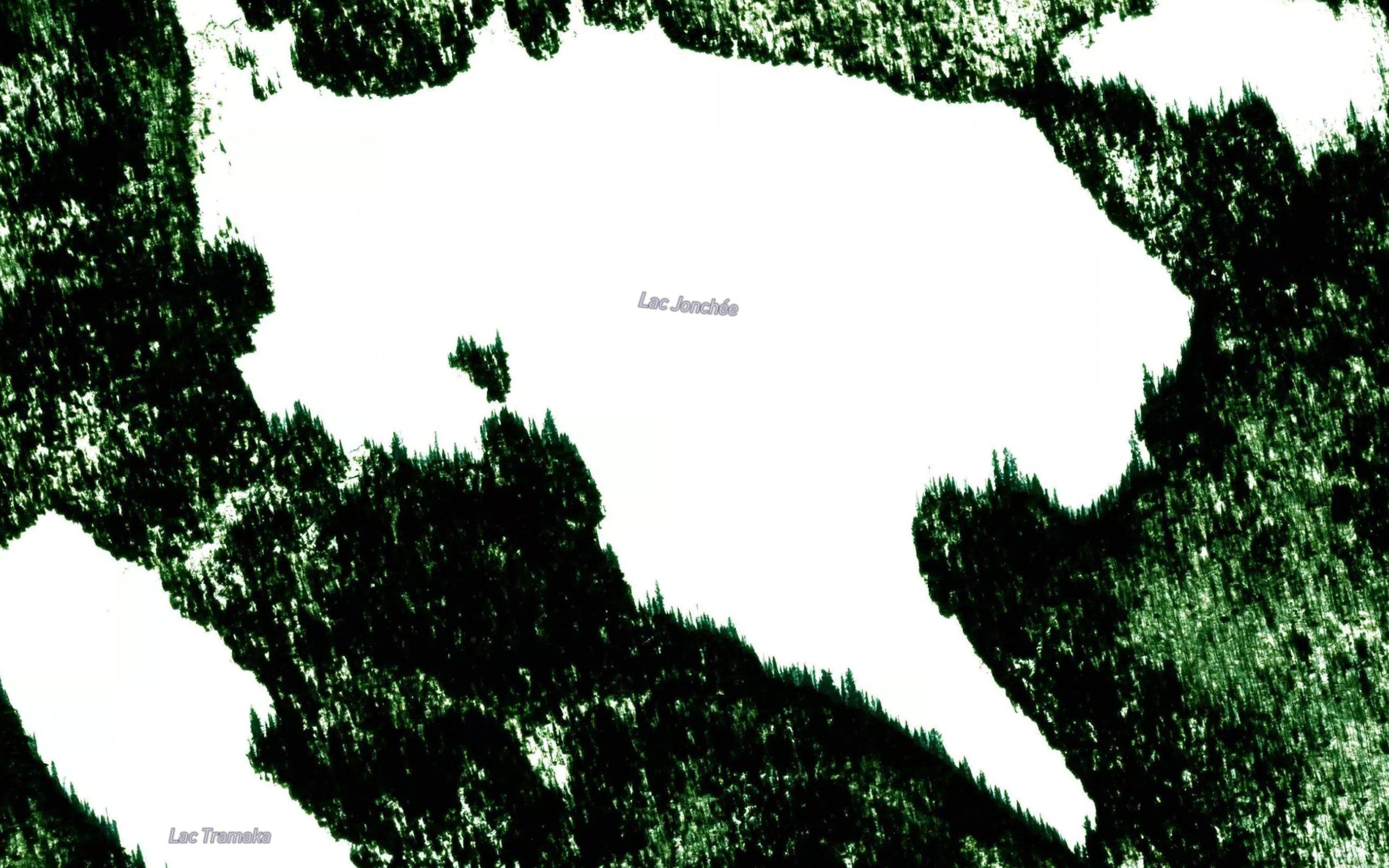 Lac Jonchee