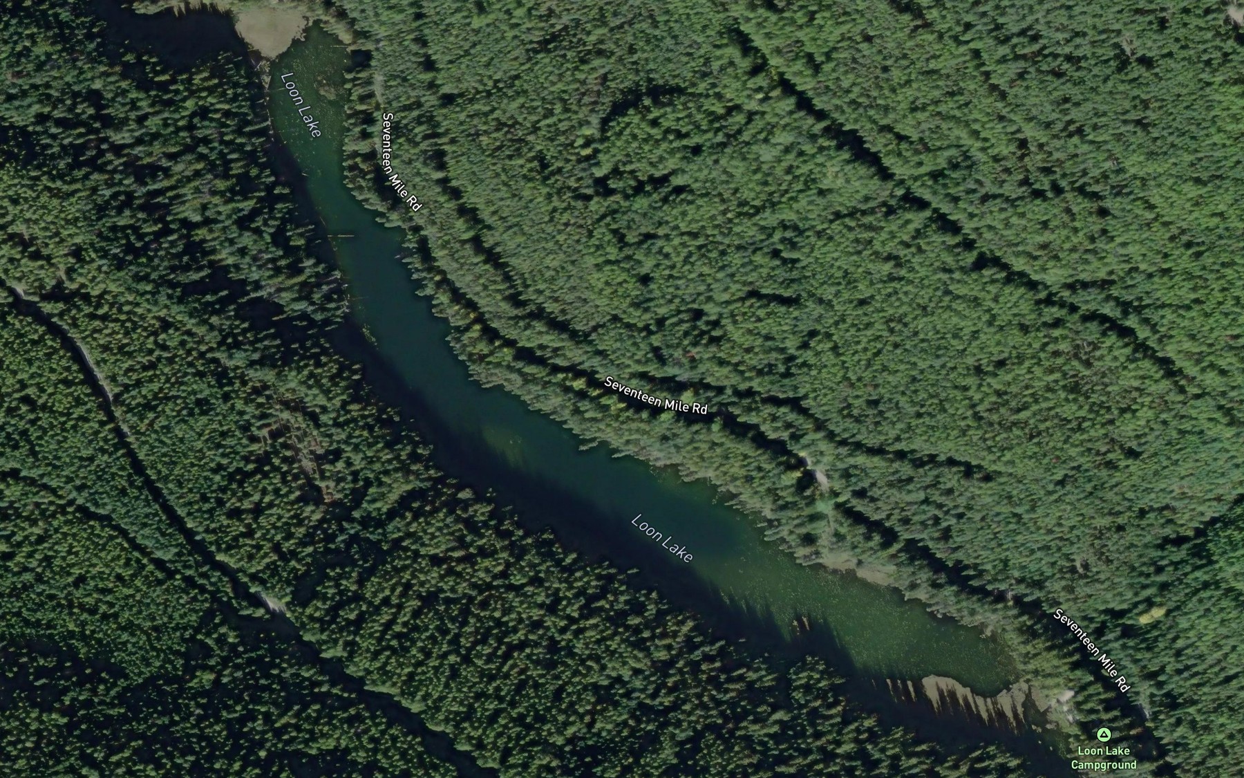 Satellite map of the Loon Lake
