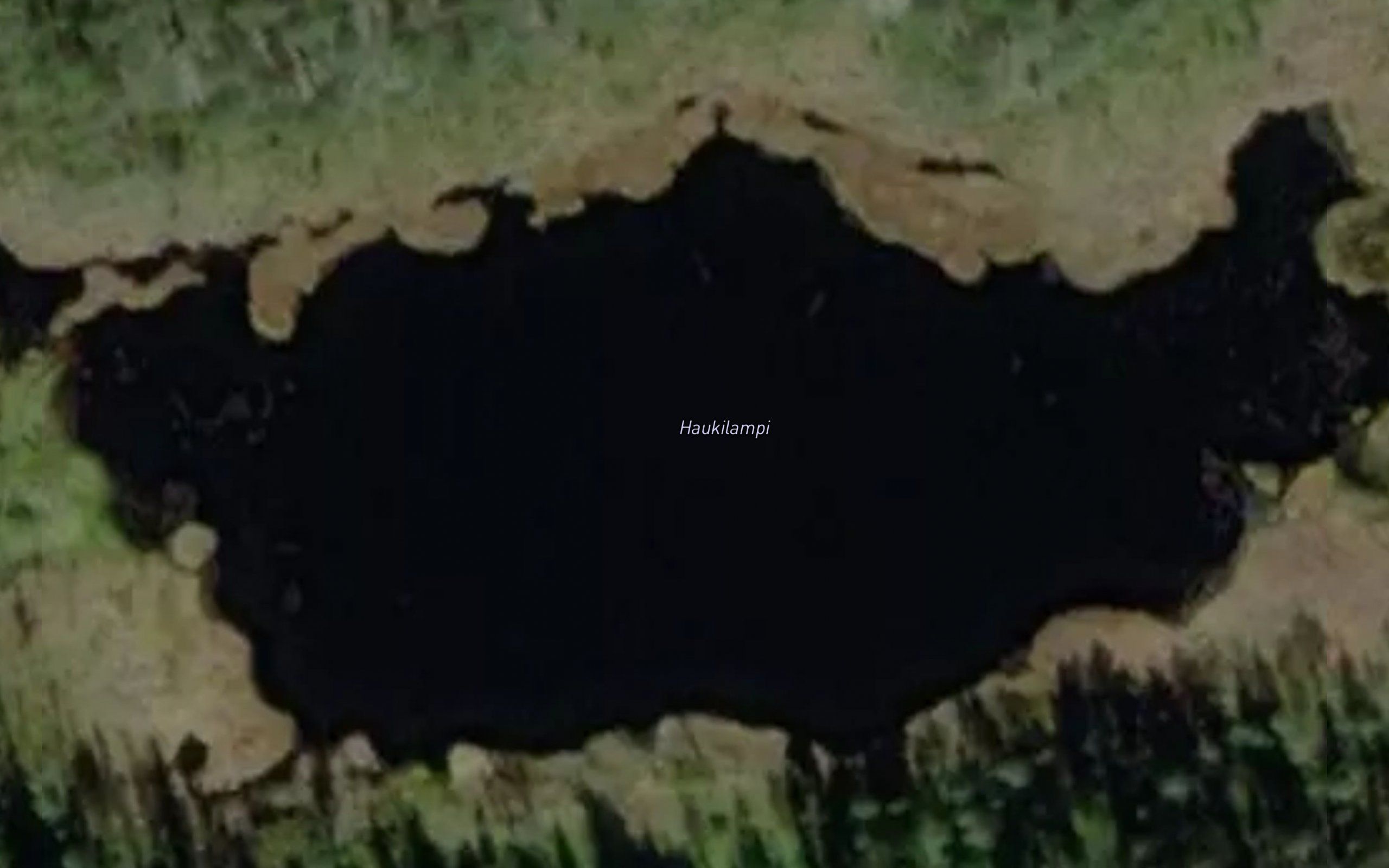 Haukilampi