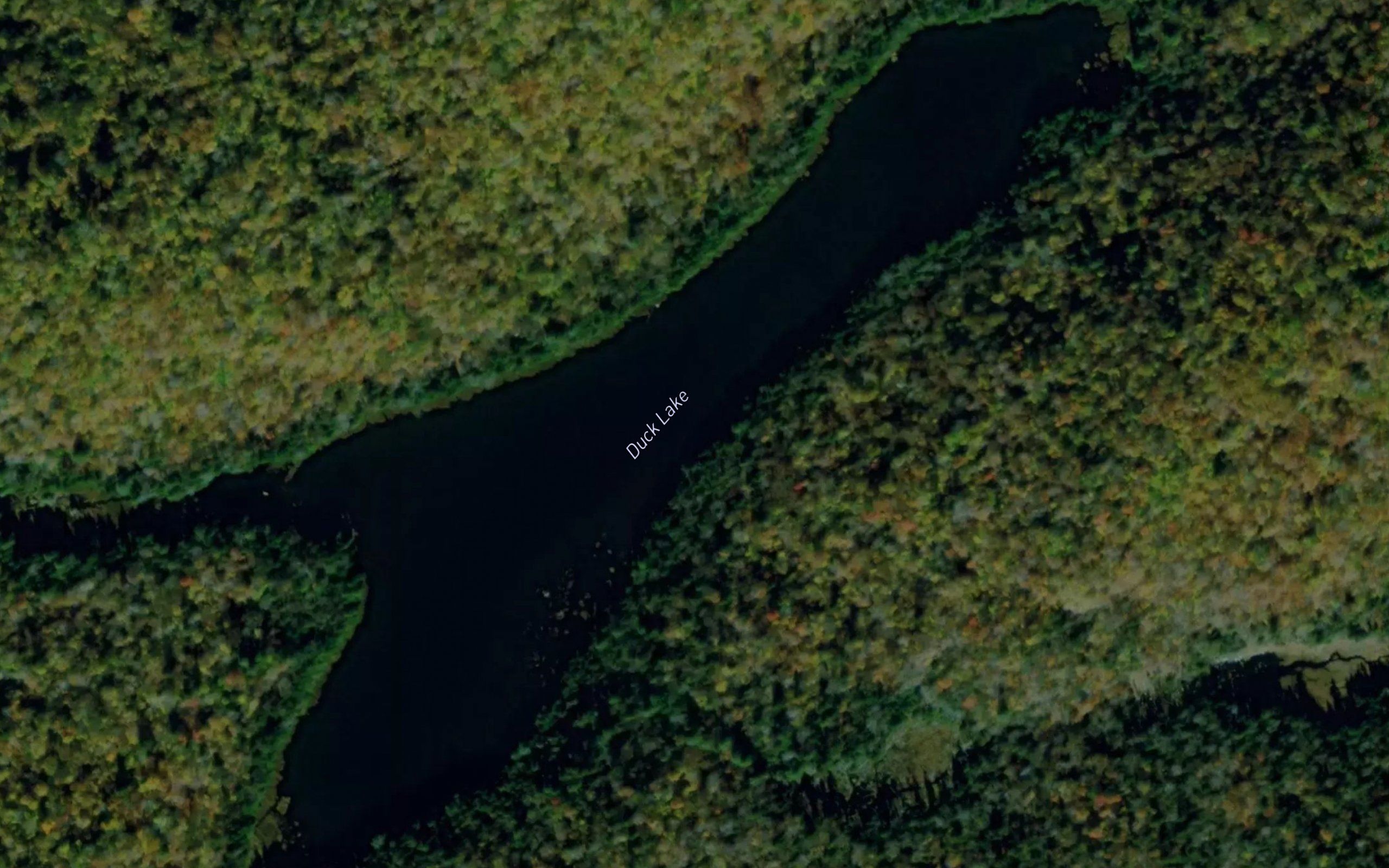 Duck Lake