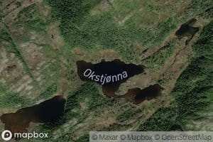 Okstjorna
