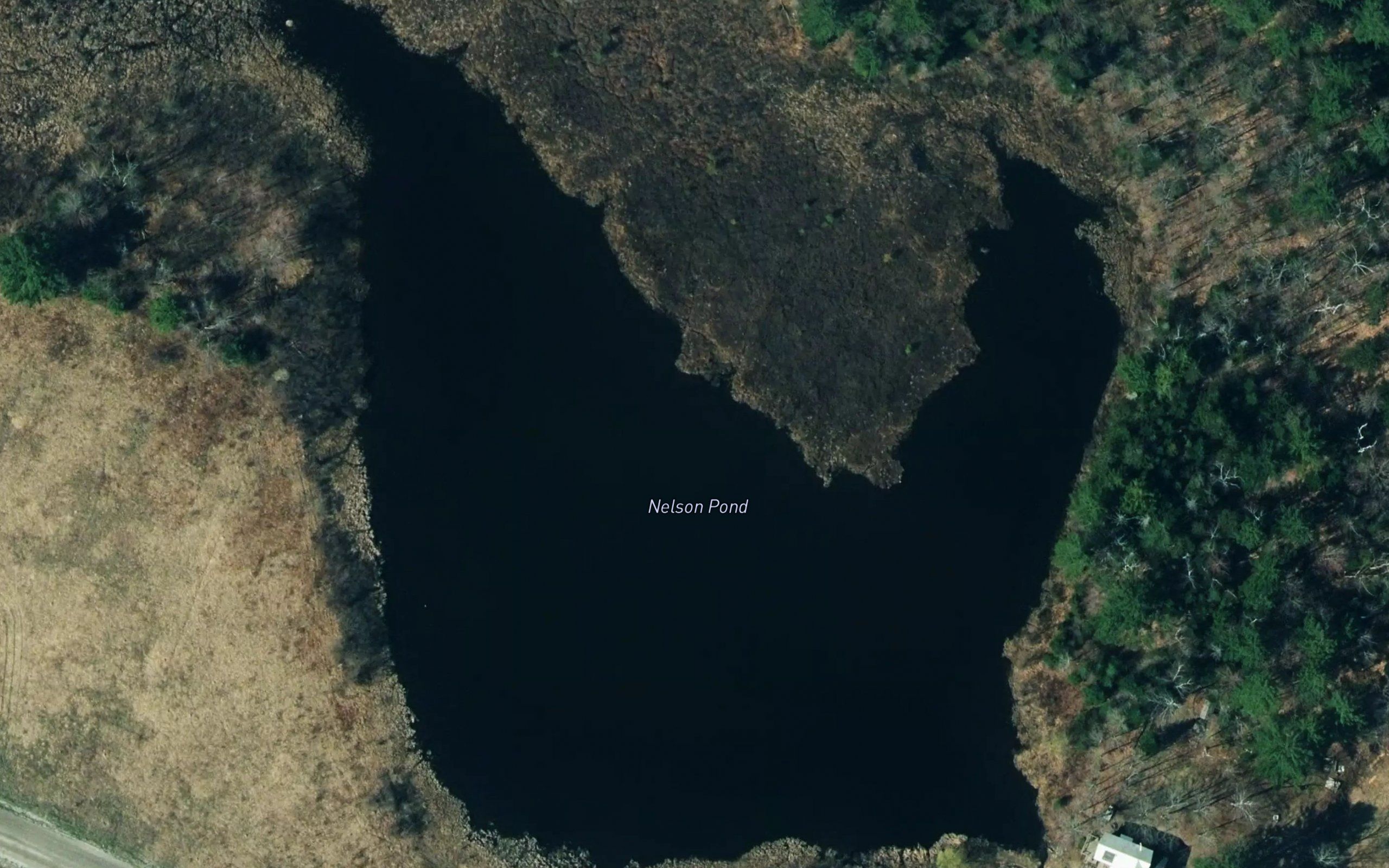 Nelson Pond