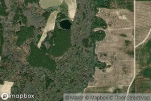 Piney Woods Lake