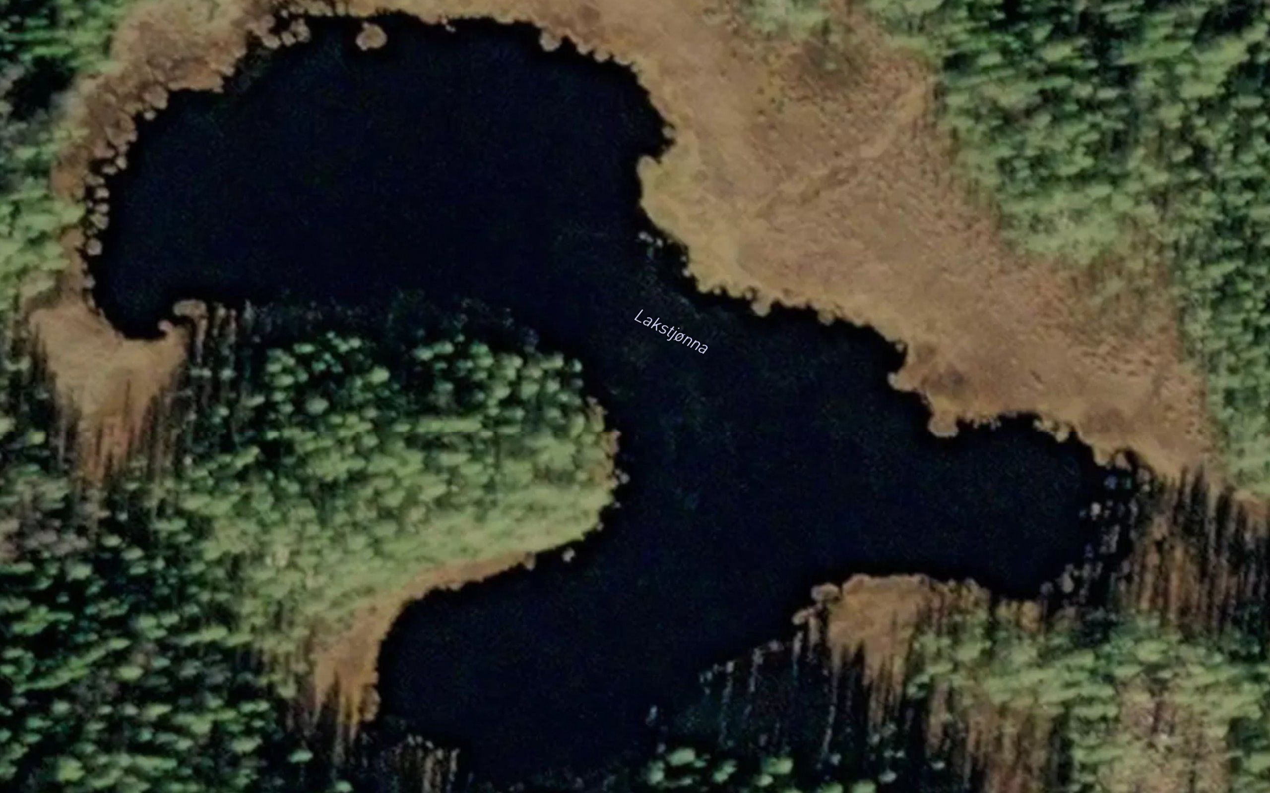 Lakstjorna
